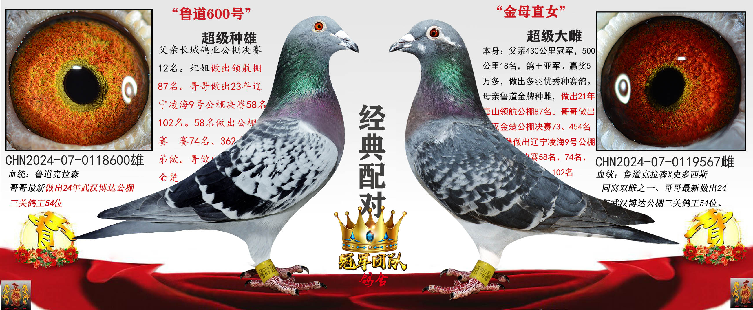 ³��600��X�ھ�Ů��