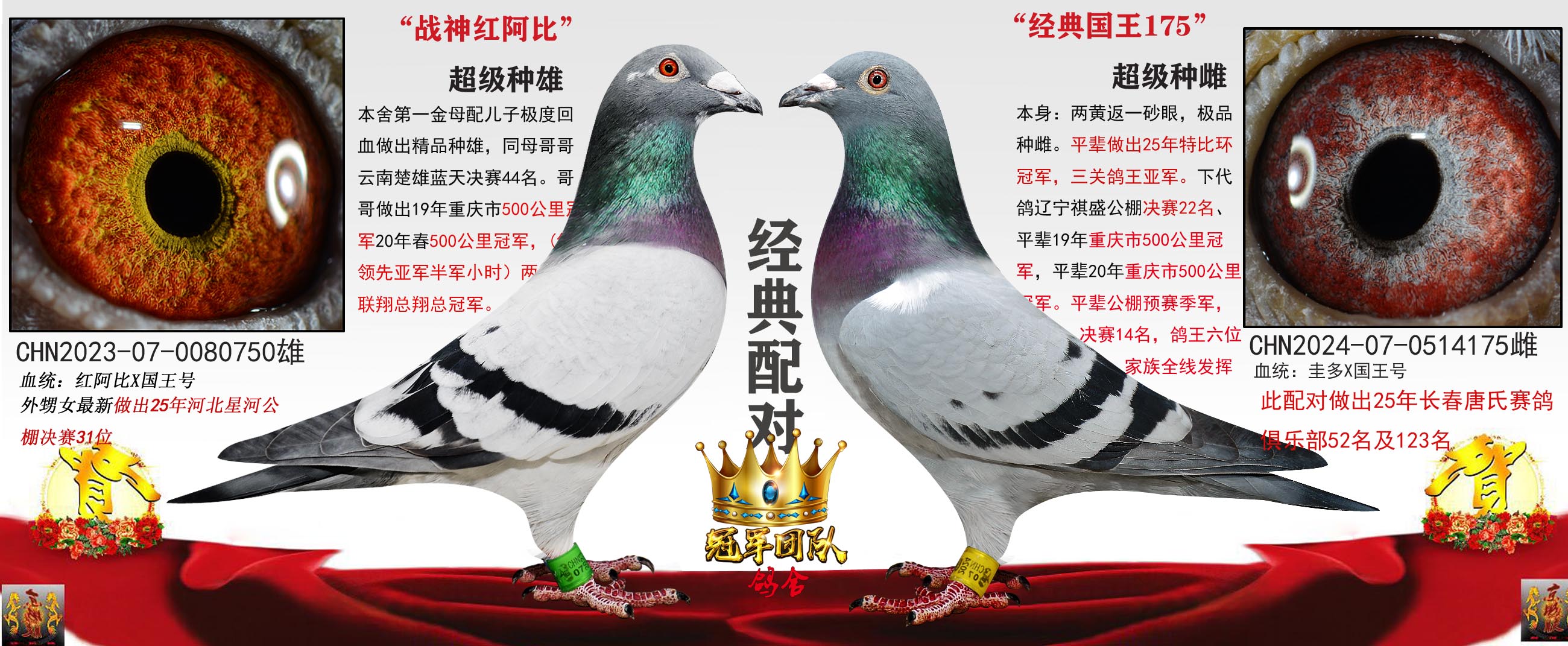 ս��찢��X�������175