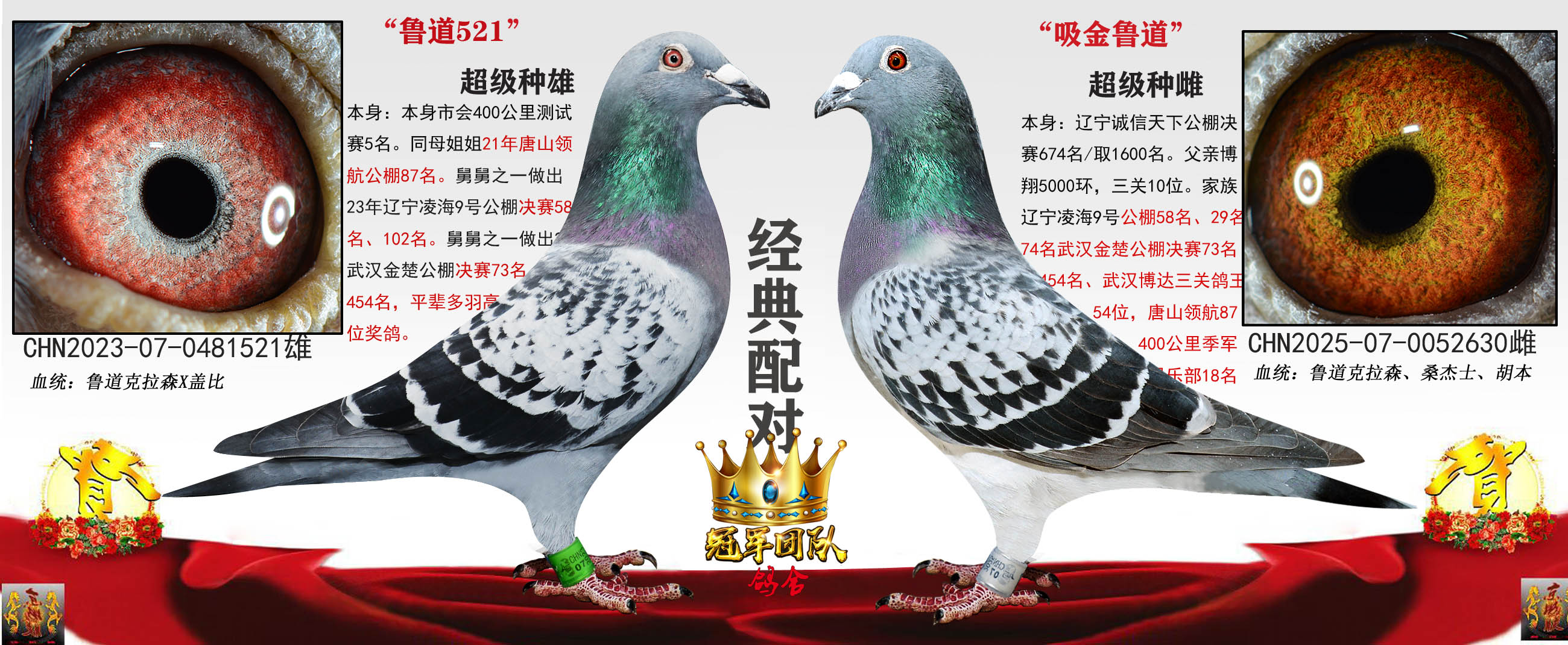 ³��5��X�������½���