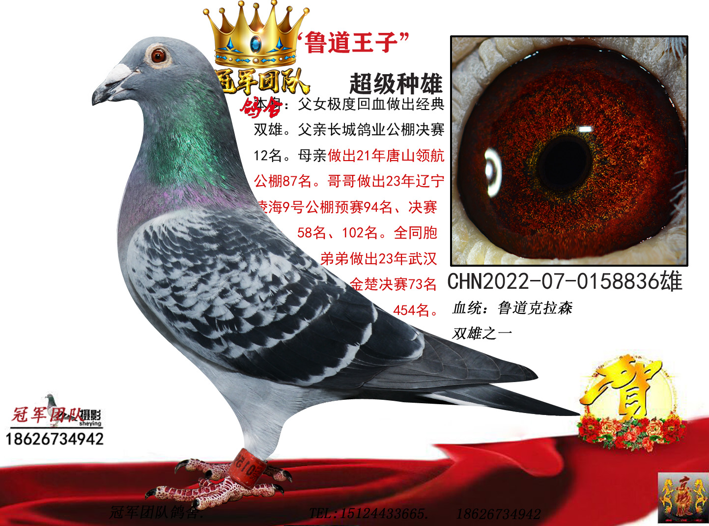 ����³�������ظ���54λ����