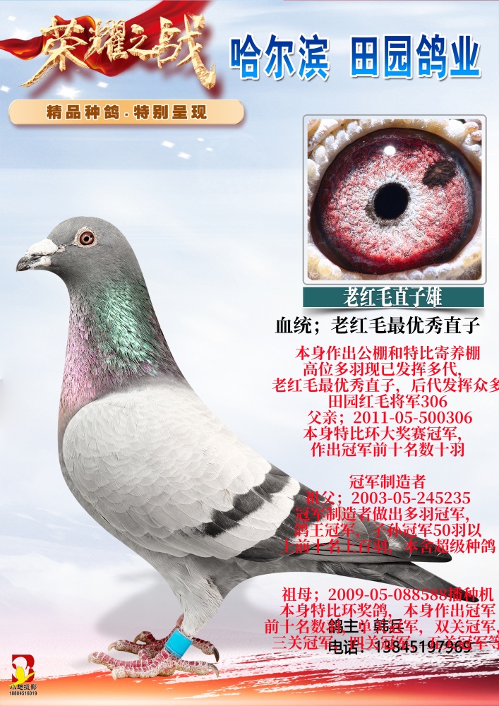 �Ϻ�ë������ֱ��