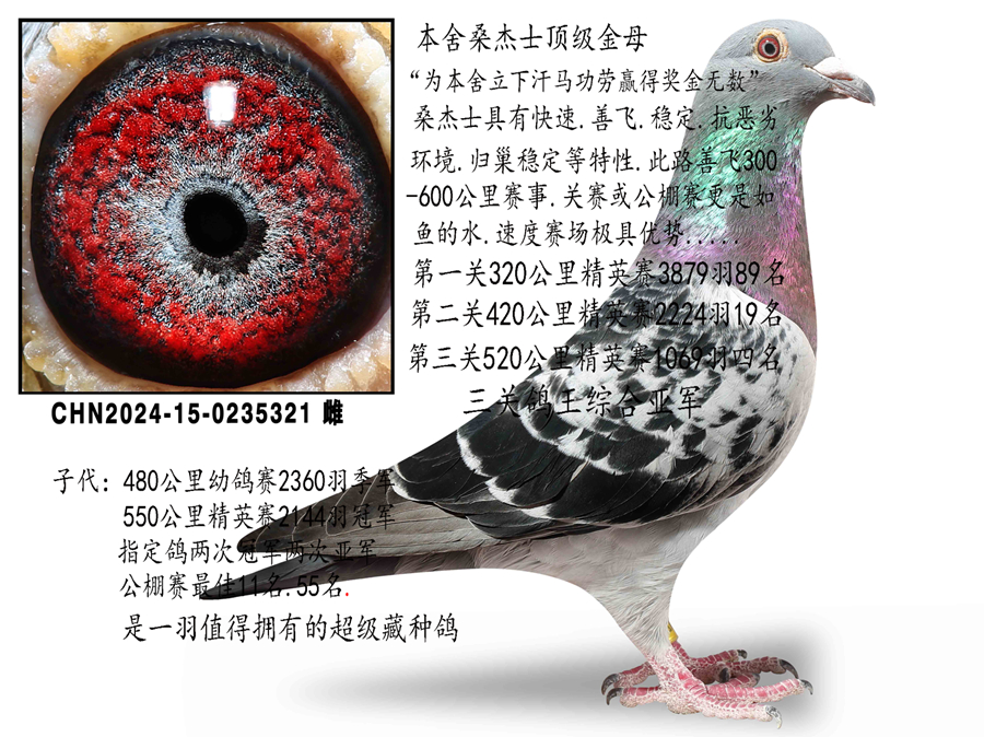 ɣ��ʿ�ƽ��ִ�