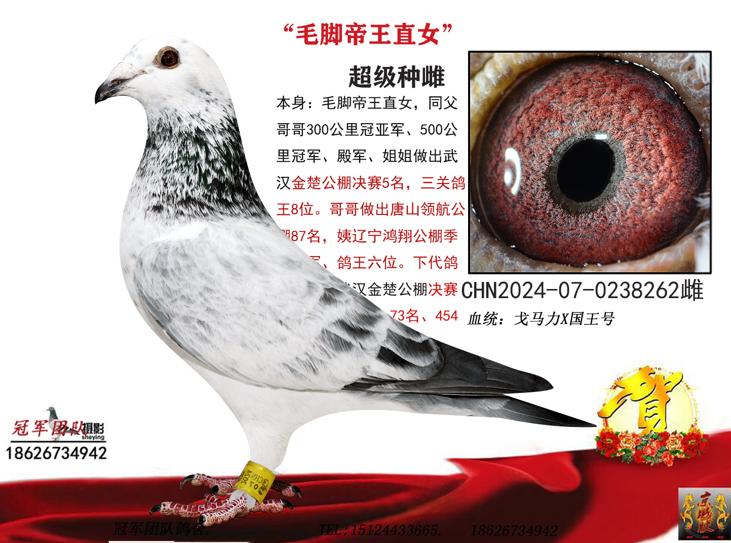 �ë�ţ�ë�Ž�ĸ����