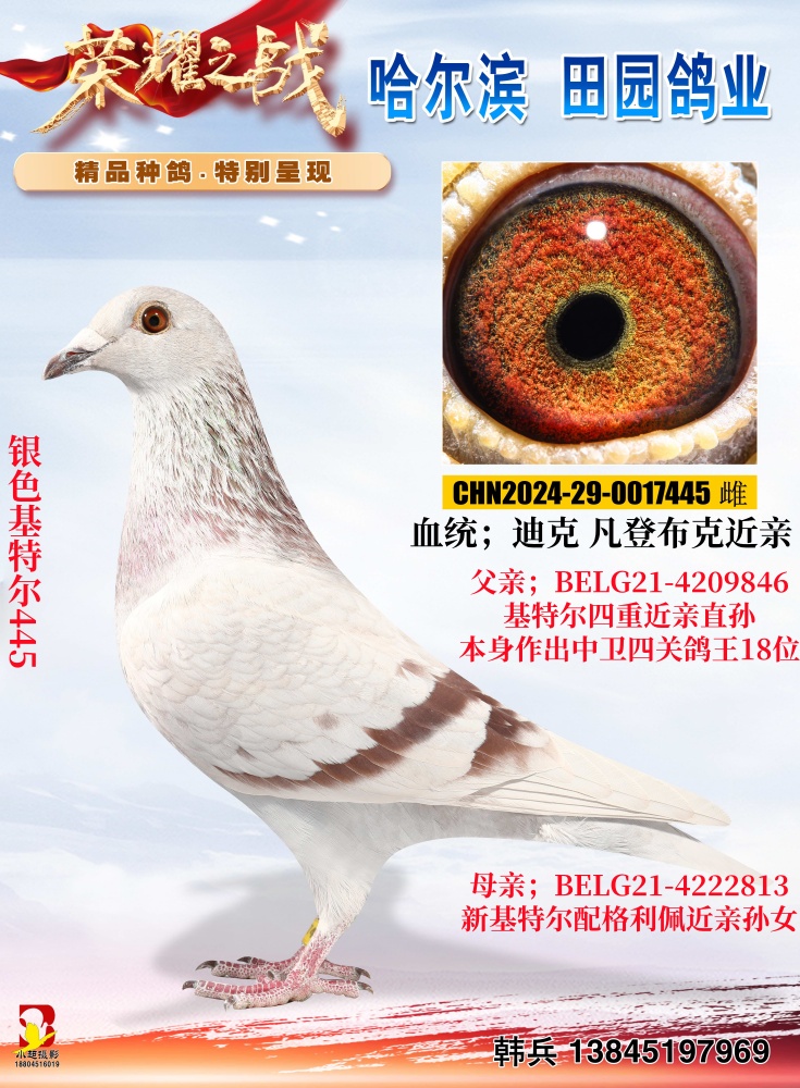 ��ɫ���ض�445