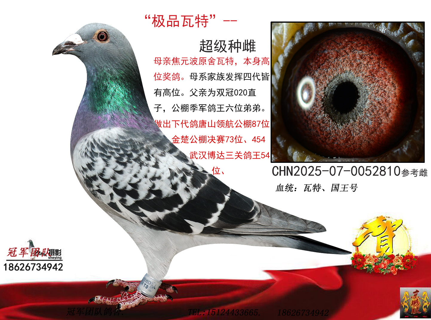 �������š�3��������Ů--