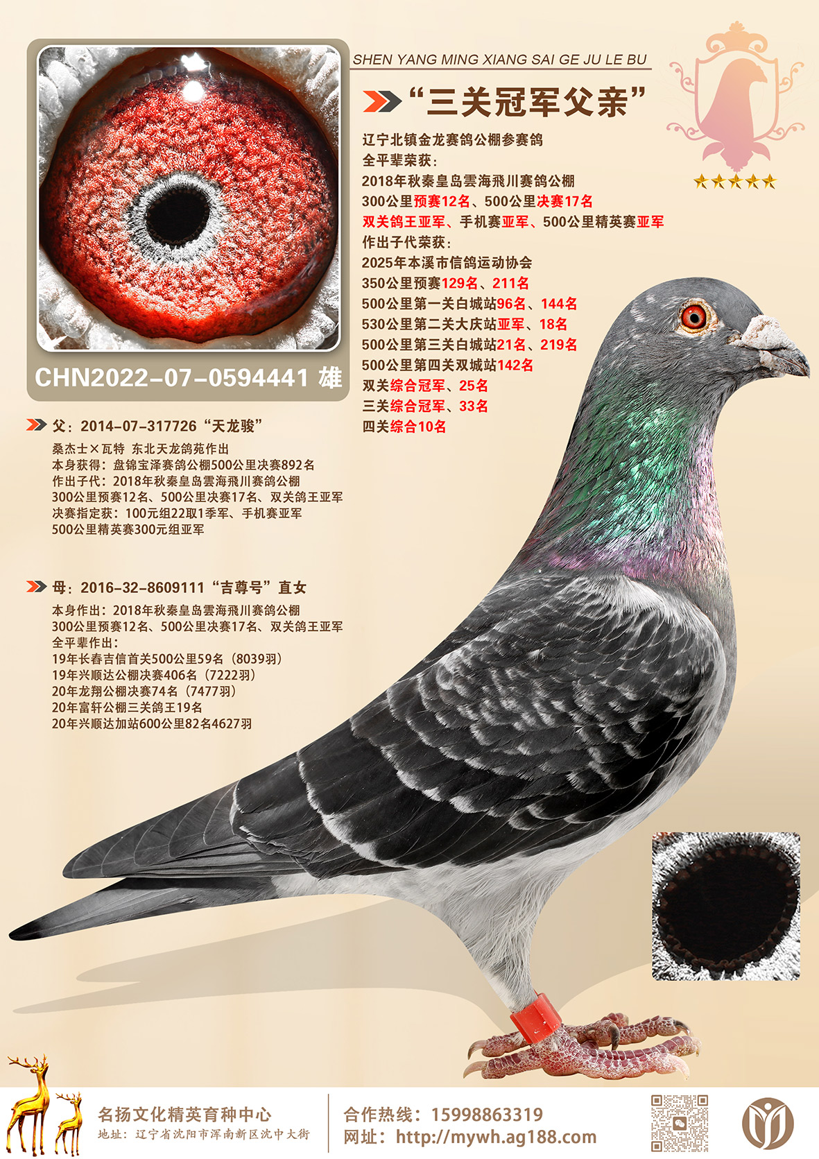 �����ۡ������عھ����ס�ȫƽ���ٻ�