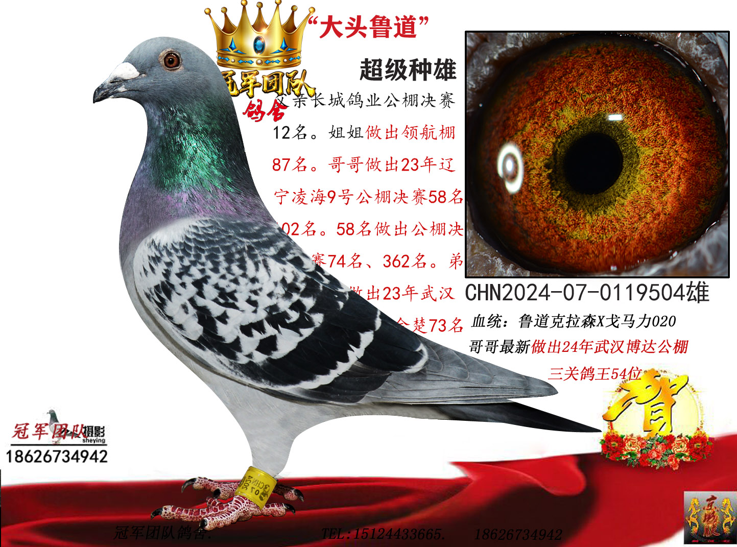 ����³������ͷ³��