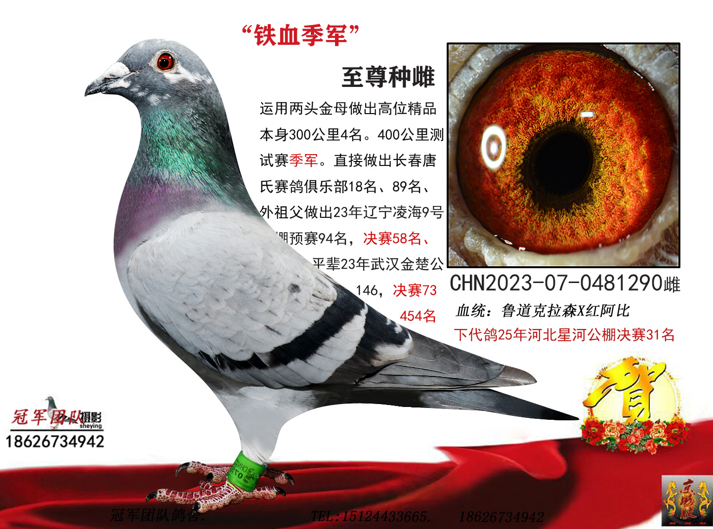 ³������Ѫ������