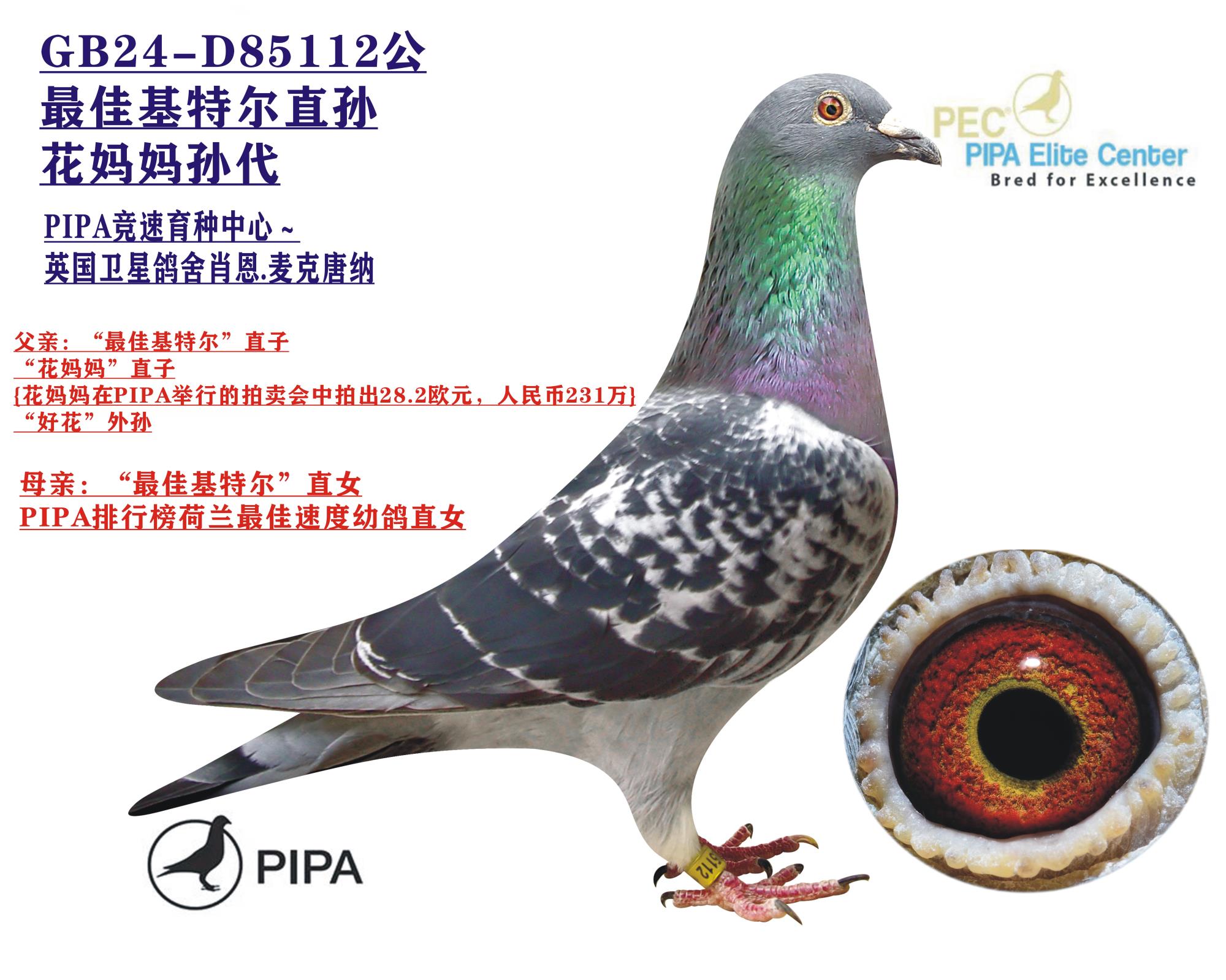 ��ѻ��ض�ֱ��.�������衱���