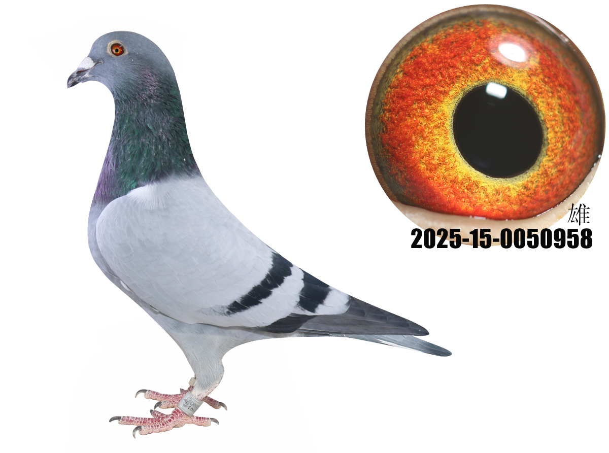 ţ55ֱţ280ֱŮţ