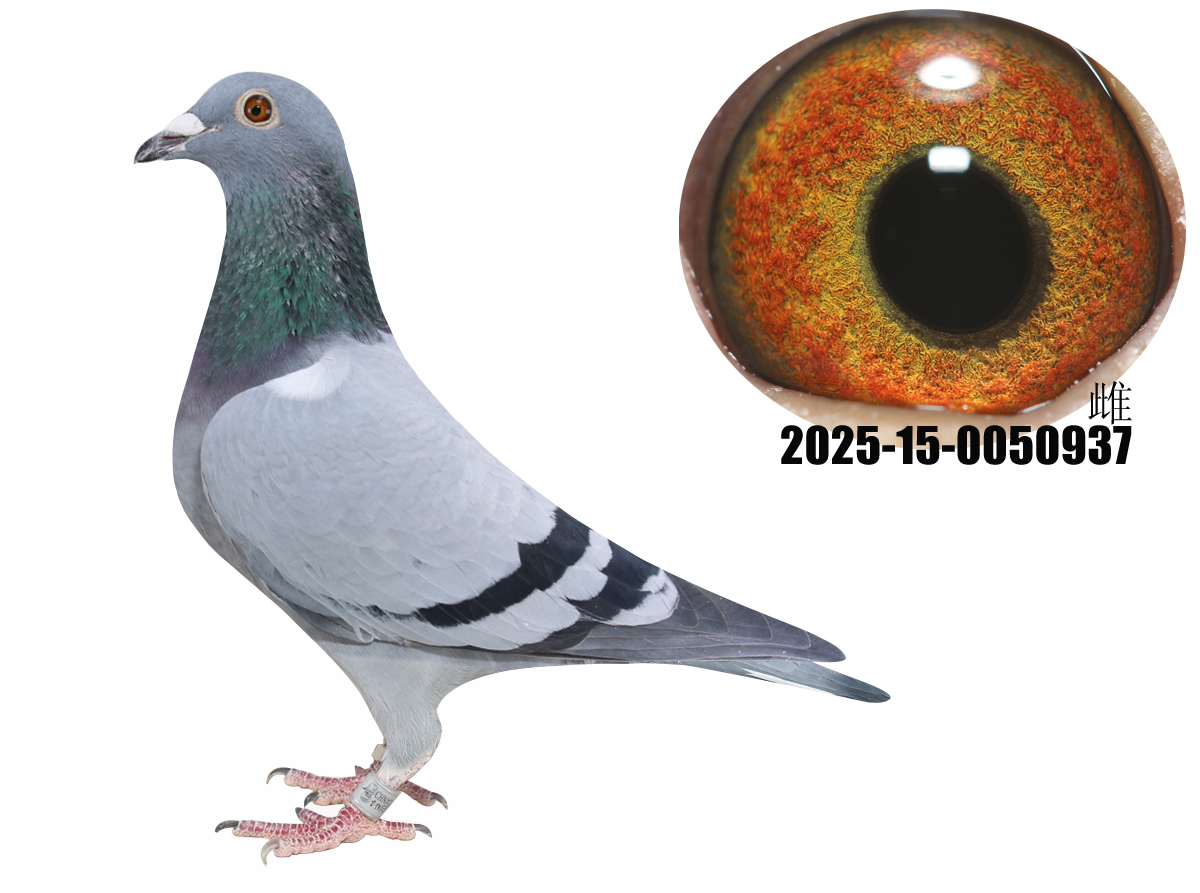 ¹ţֱӴţ280ֱŮ937