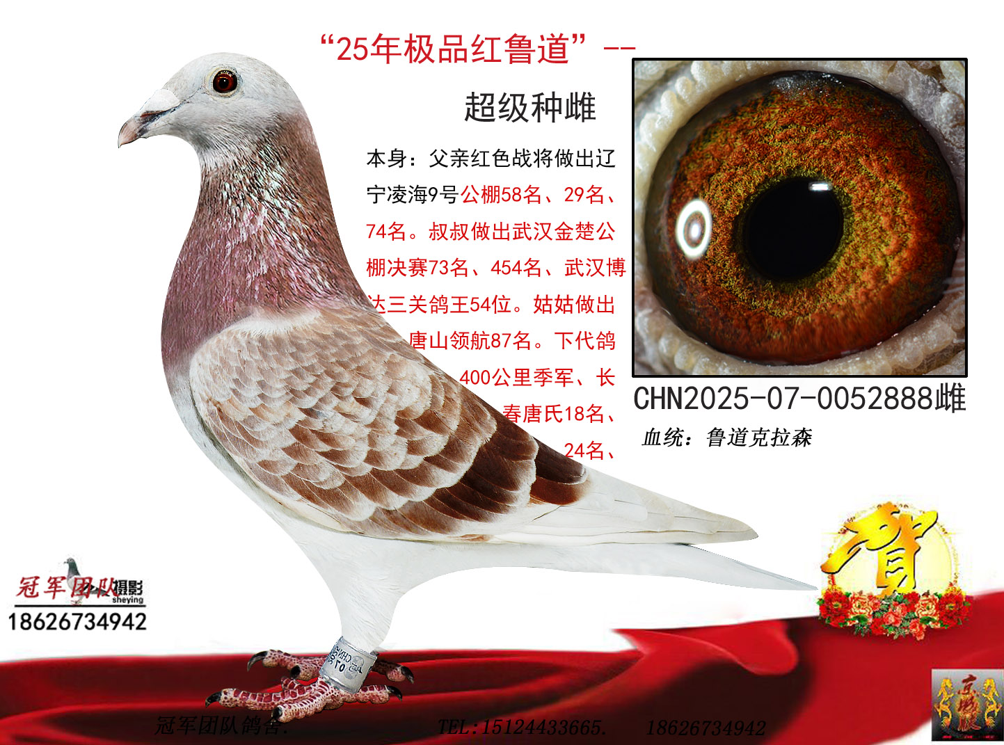 ��Ʒ��³��888