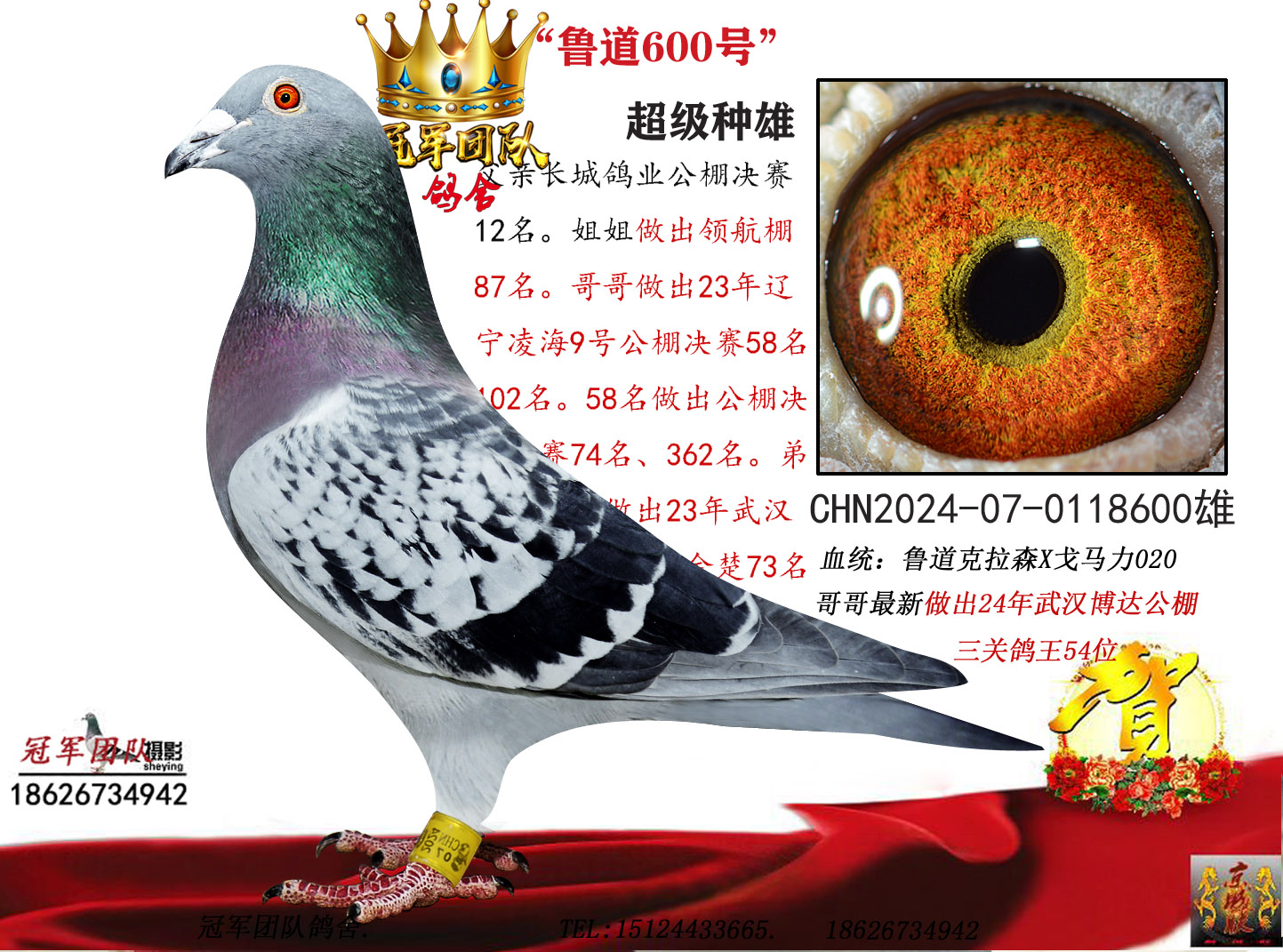 ³���ֹ�600��