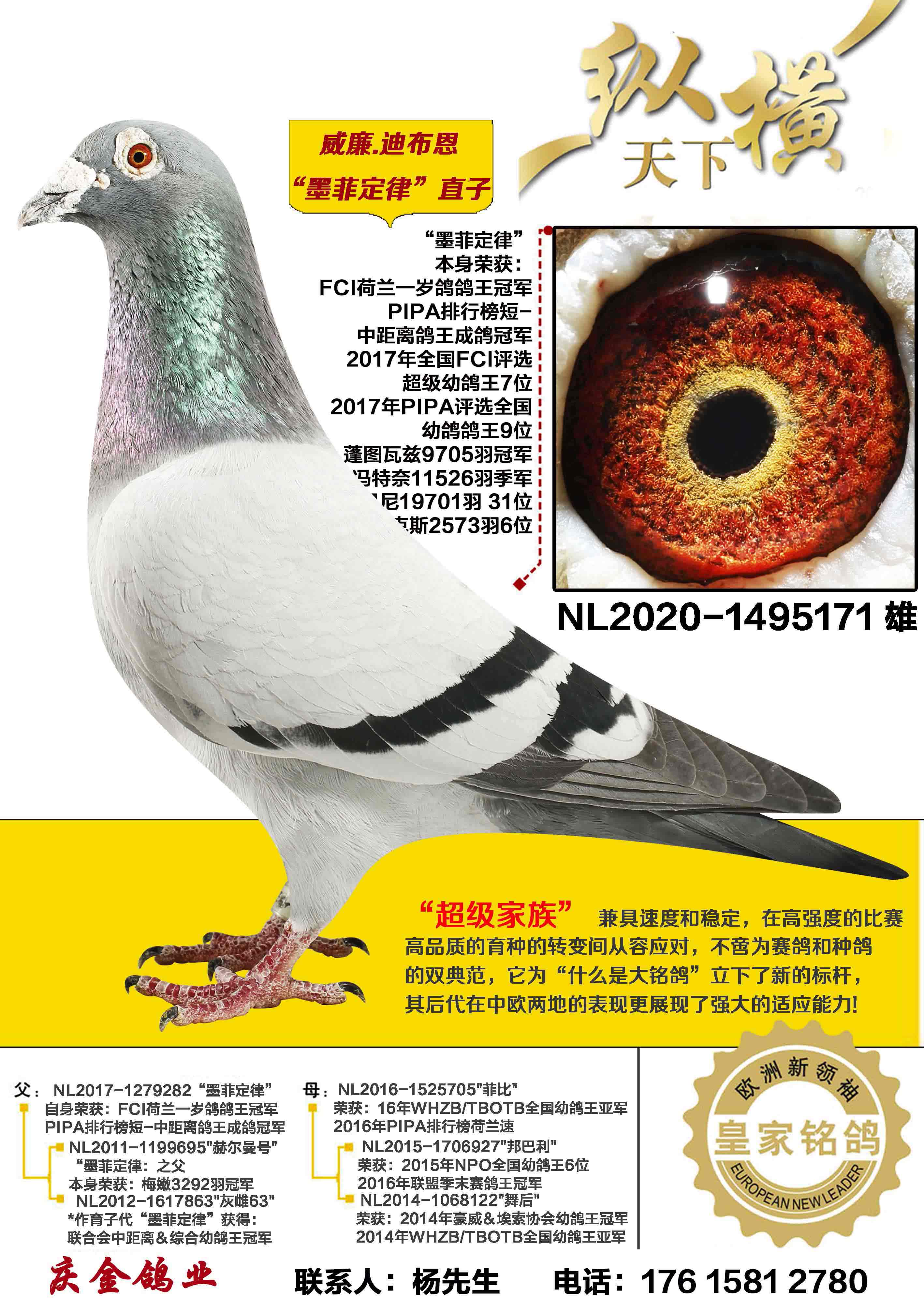 ����.�ϲ���ī�ƶ���ֱ��