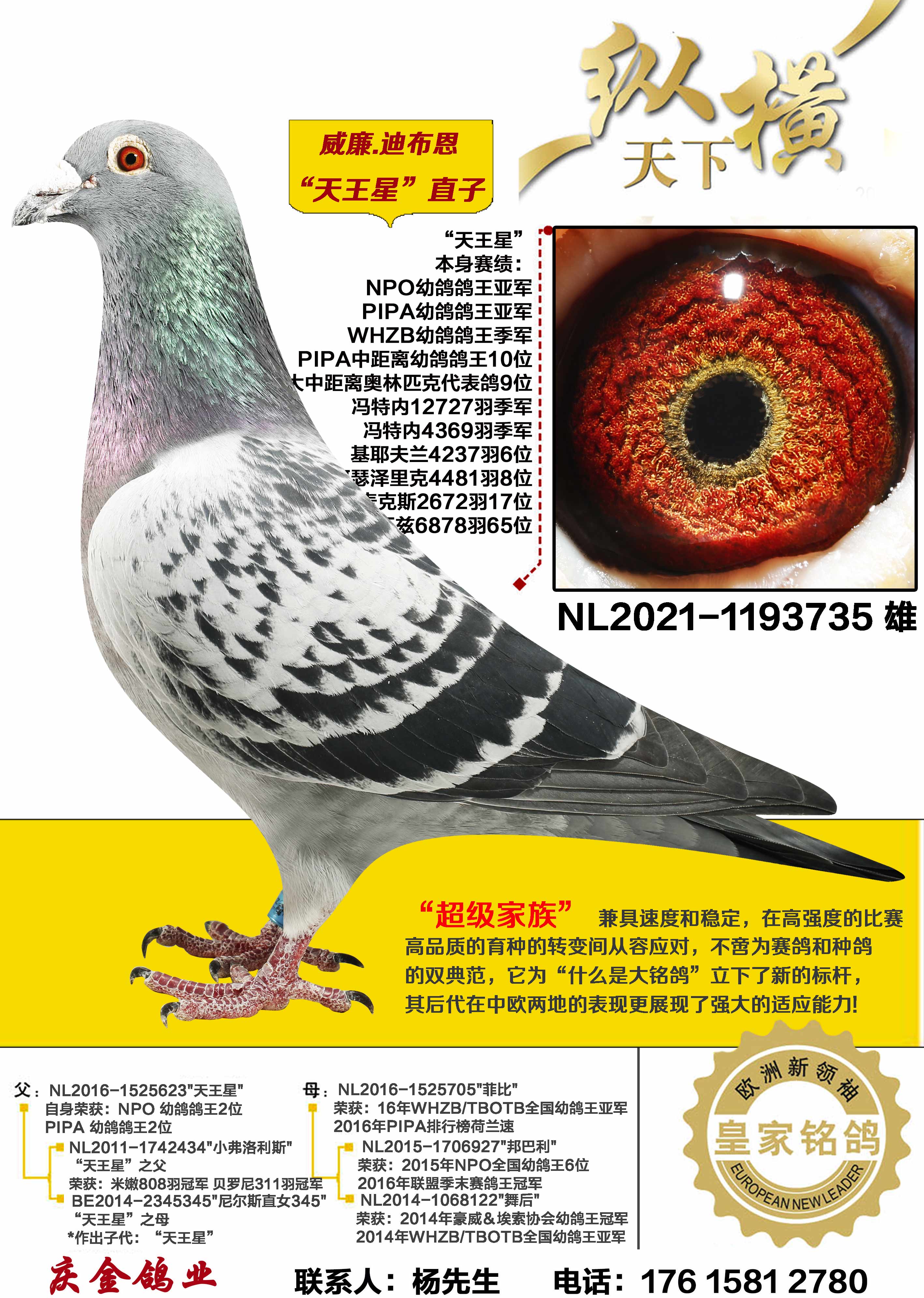 ����.�ϲ��� ������ֱ��