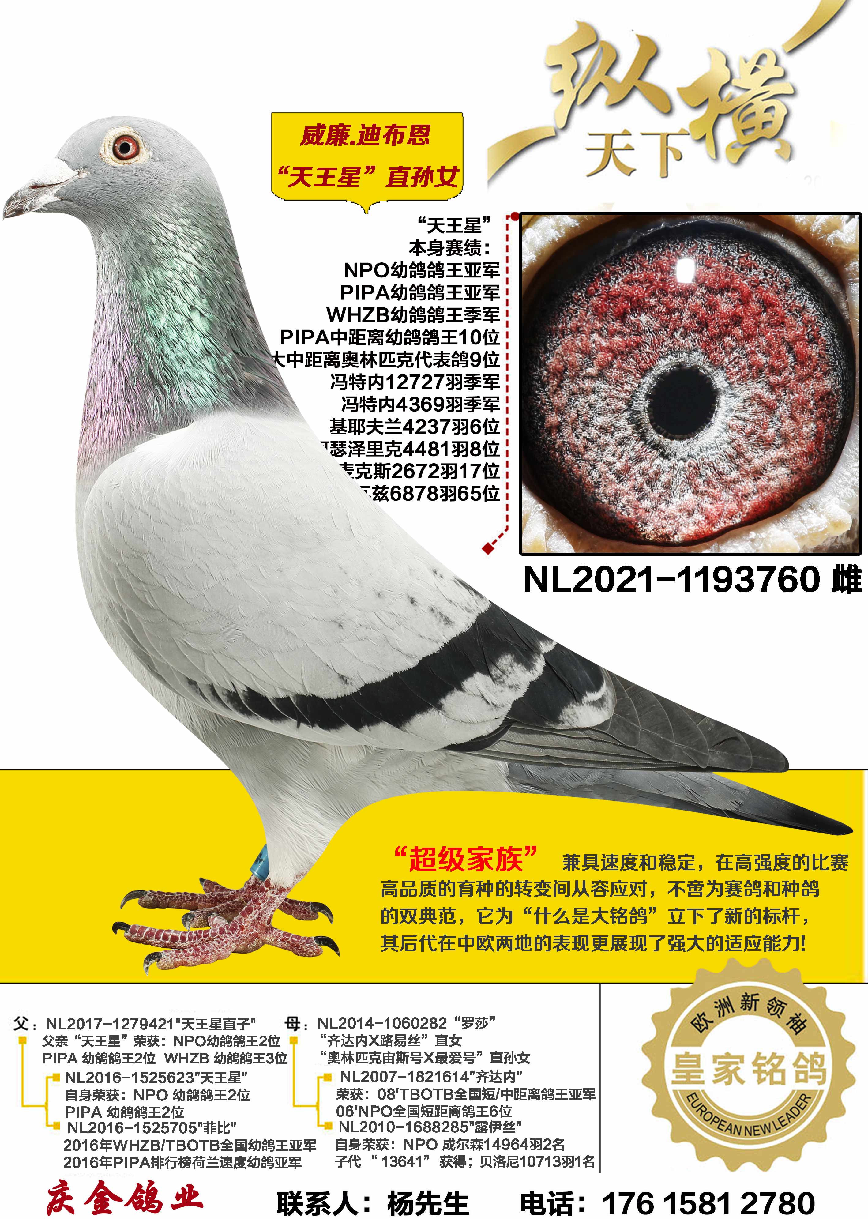 ����.�ϲ���������ֱ��Ů