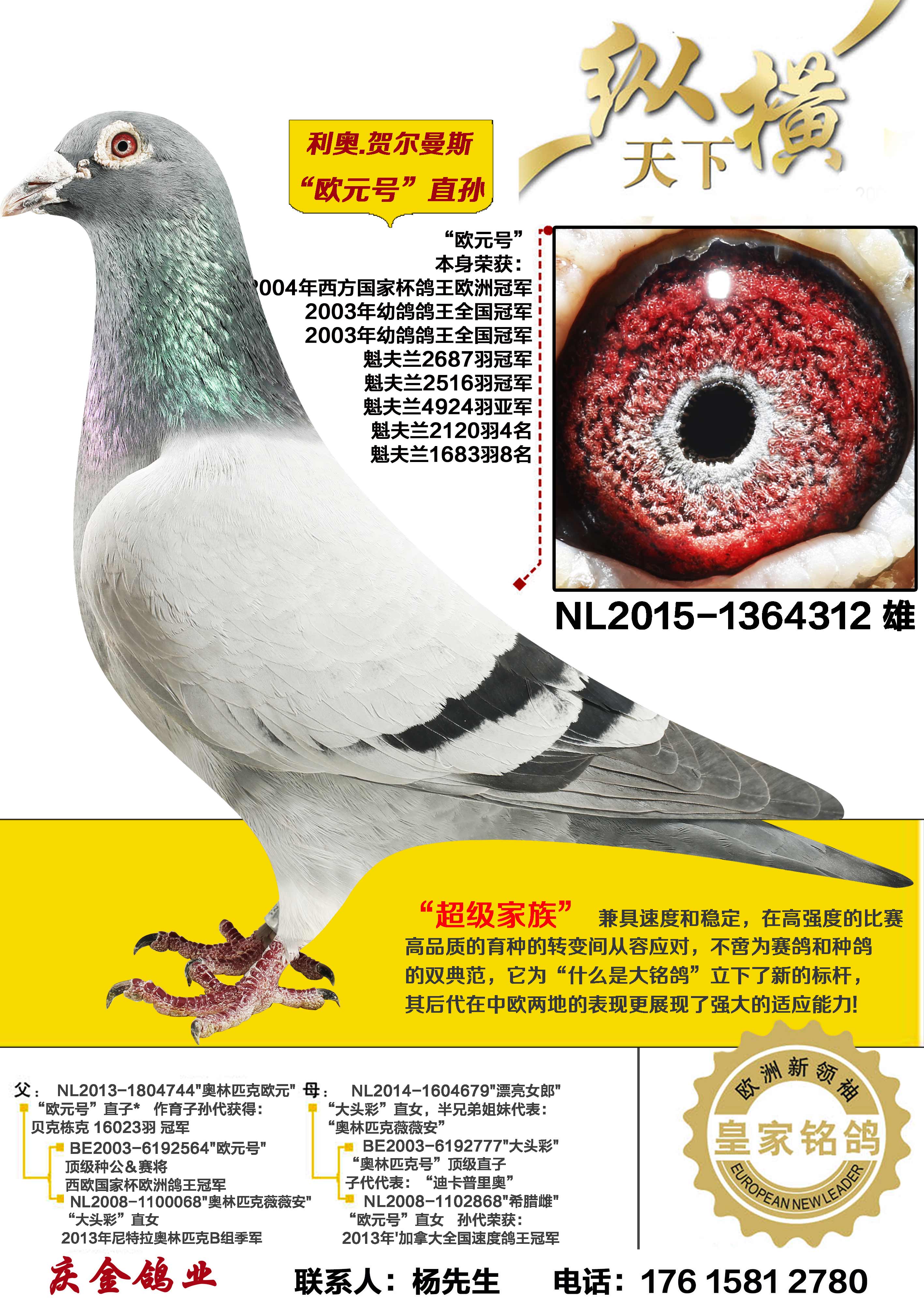 ����.�ض���˹ ŷԪ��ֱ��