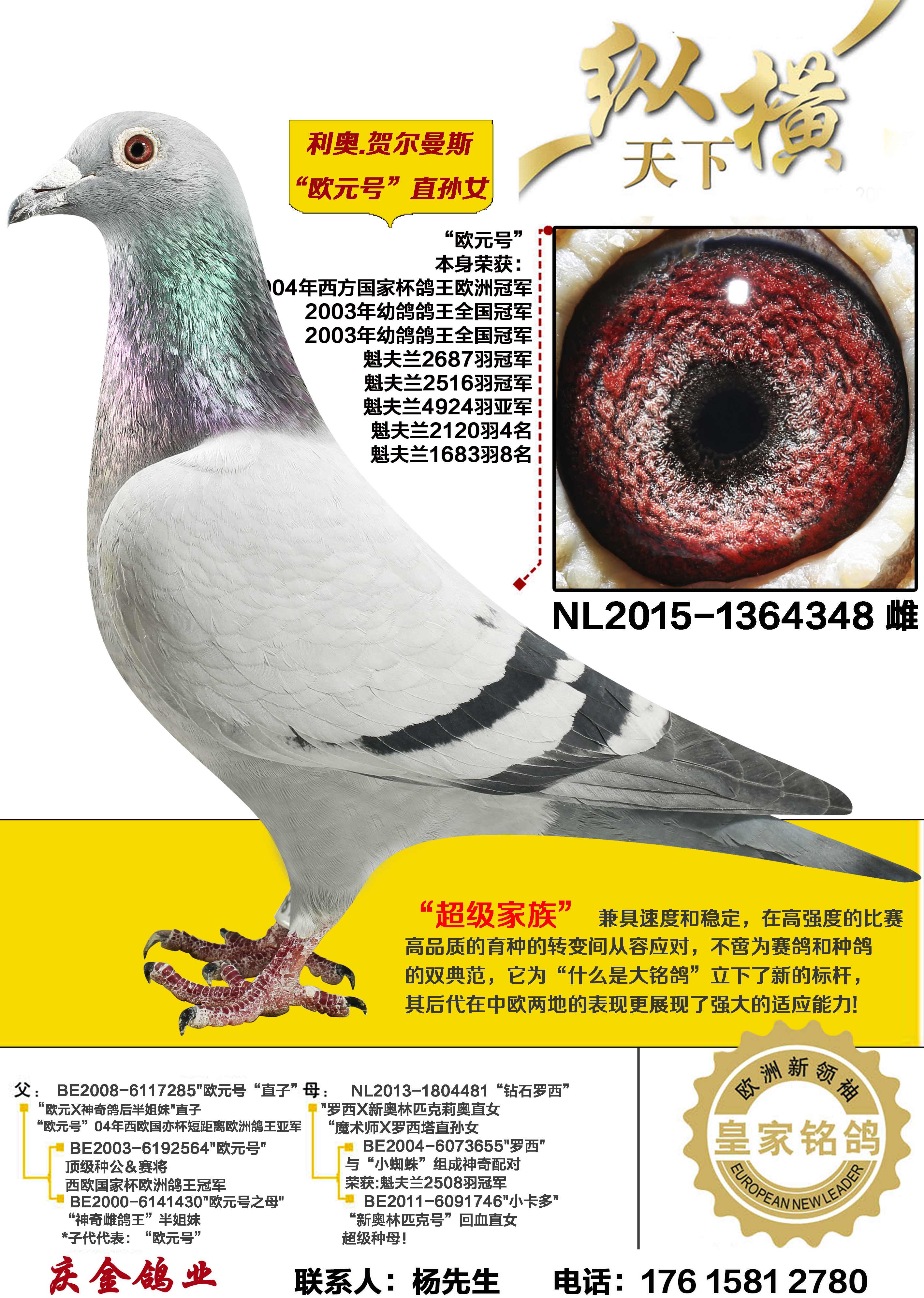 ����.�ض���˹ ŷԪ��ֱ��Ů