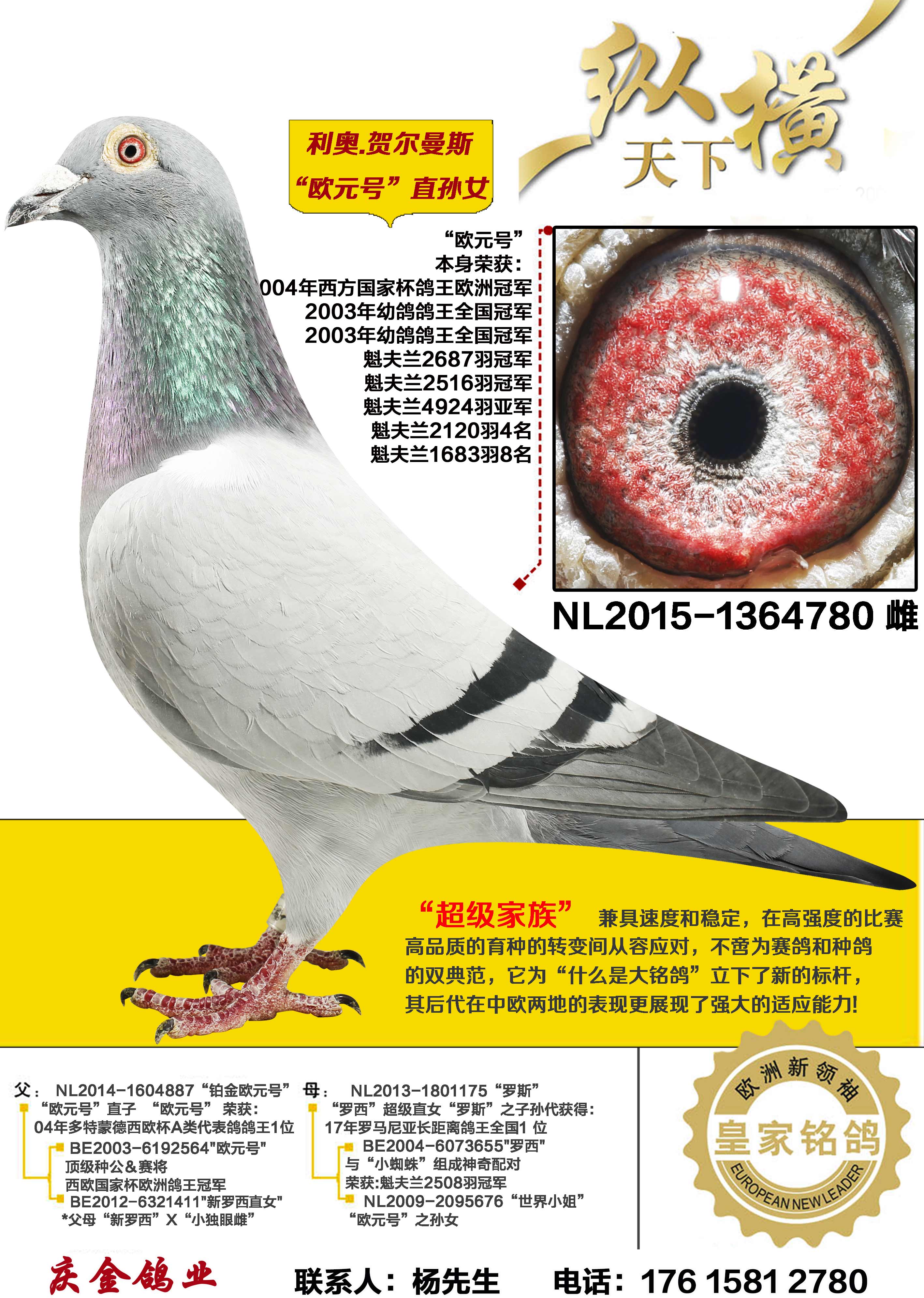 ����.�ض���˹ ŷԪ��ֱ��Ů