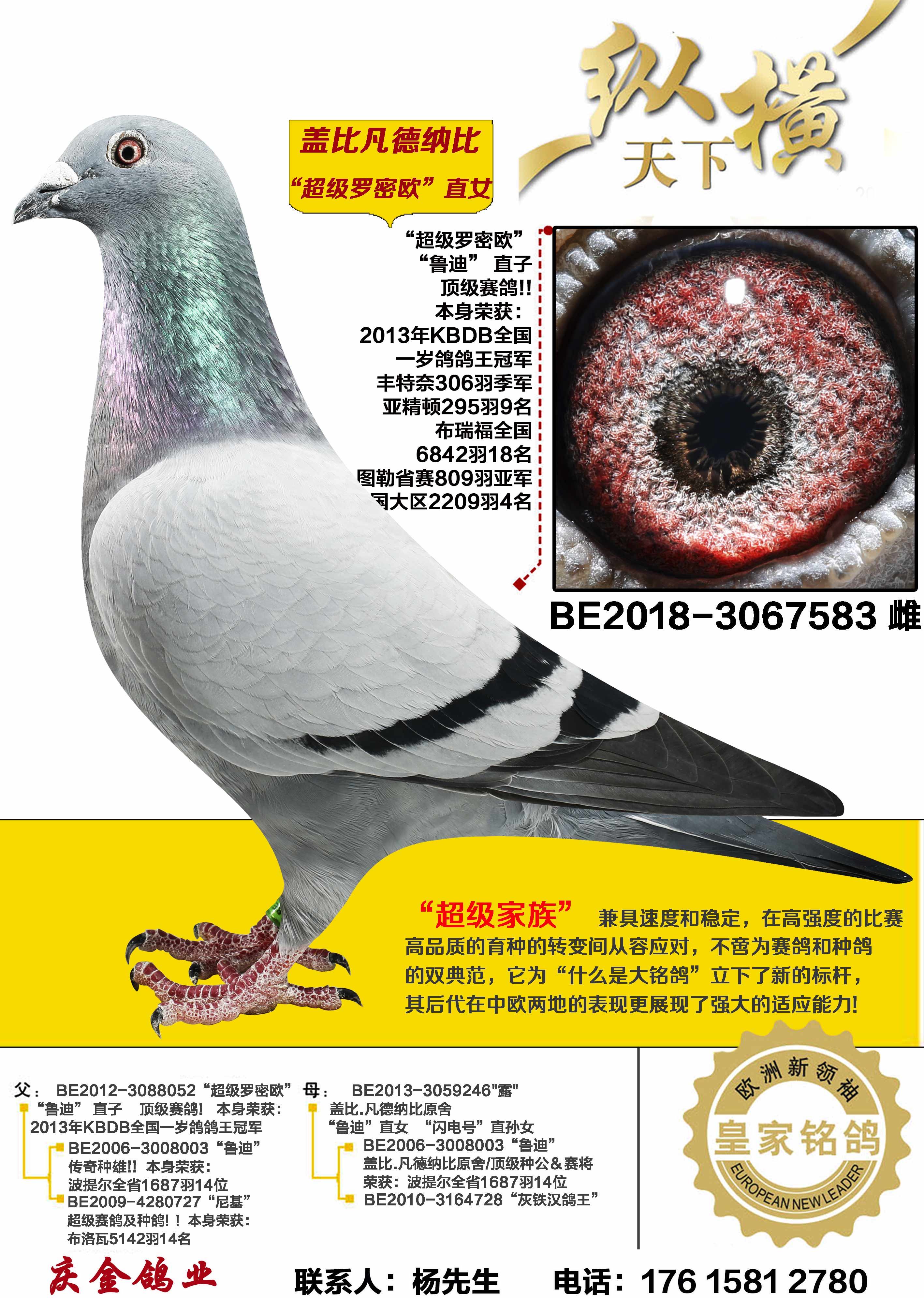 �Ǳ� ��������ŷֱŮ