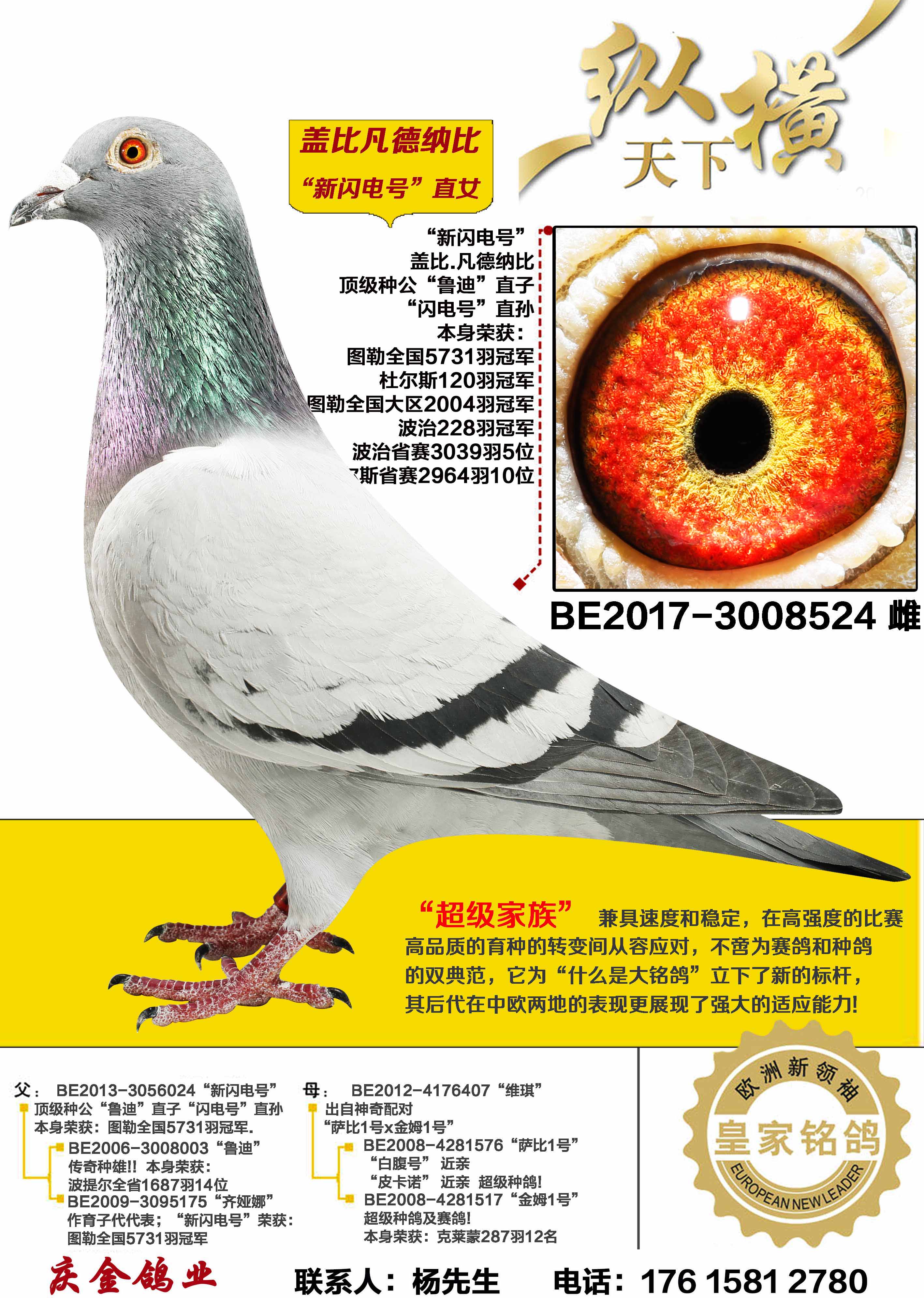 �Ǳ� ������ֱŮ