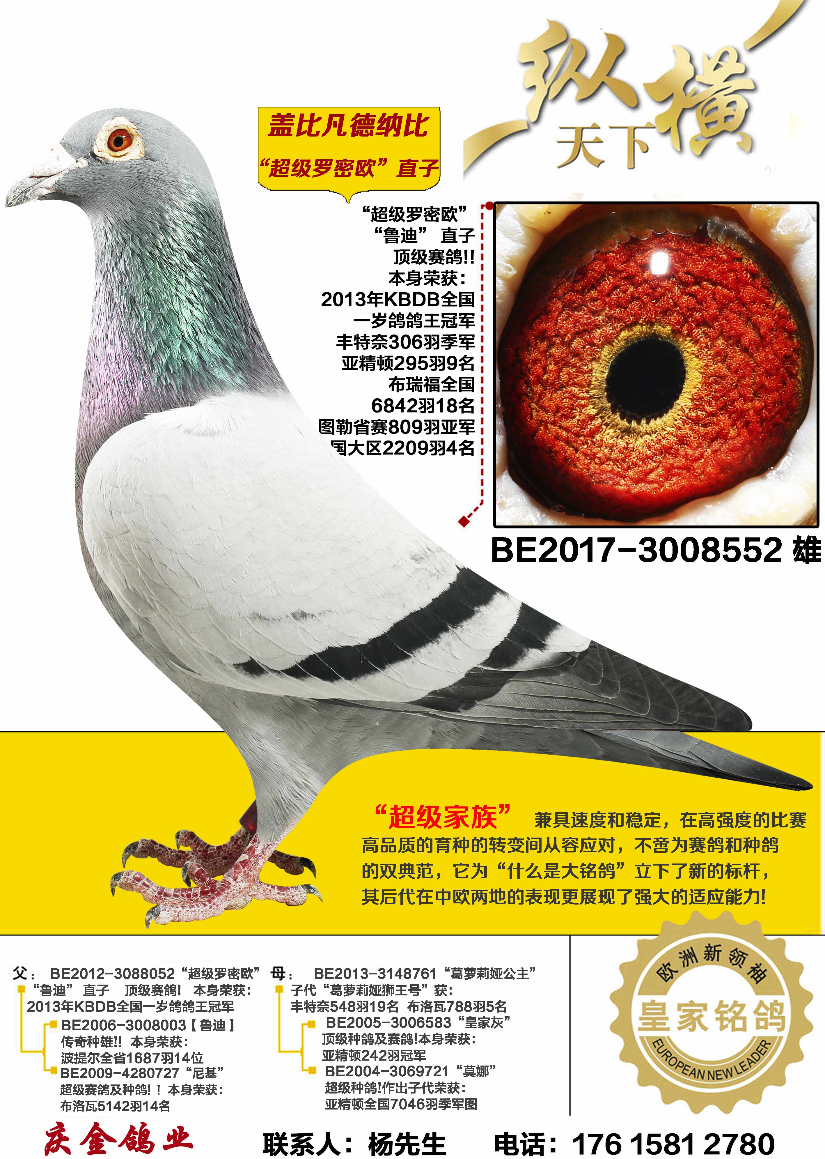 �Ǳ� ��������ŷֱ��