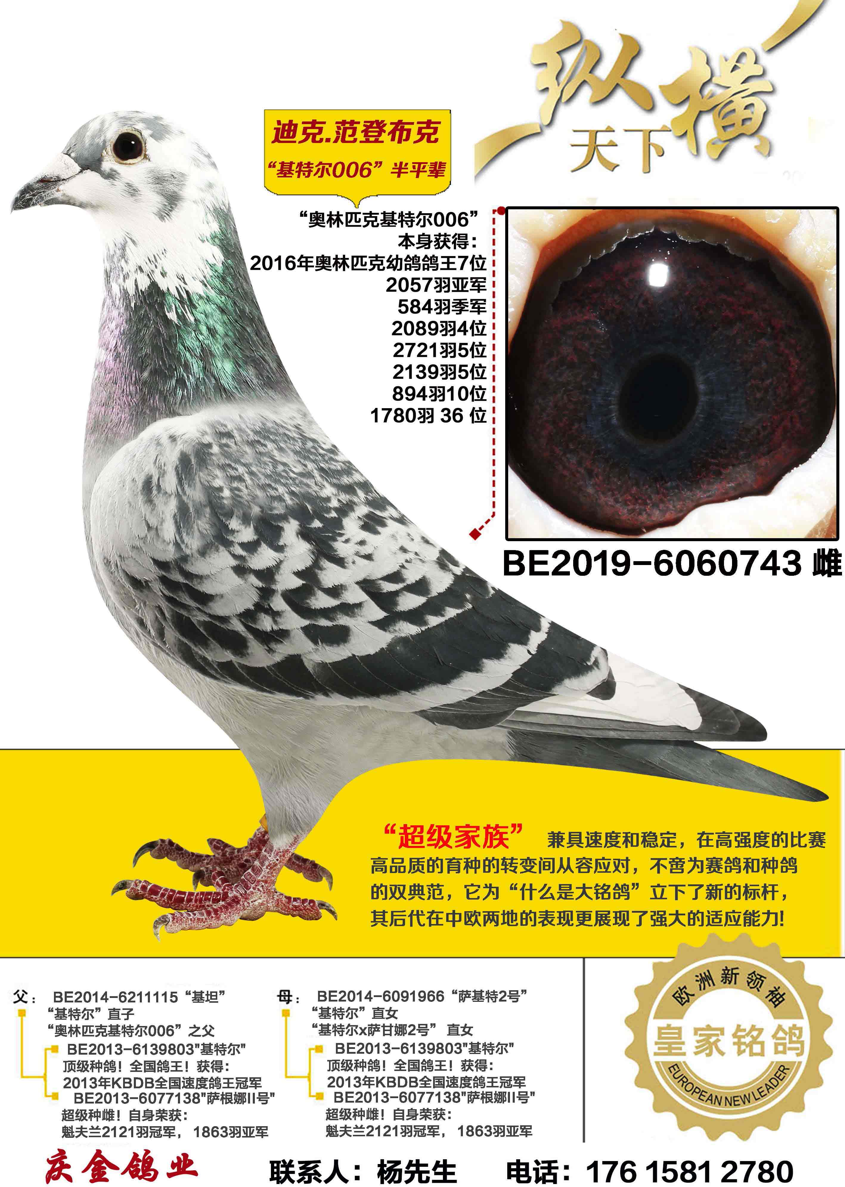 ����ƥ�˻��ض�006 ��ƽ��