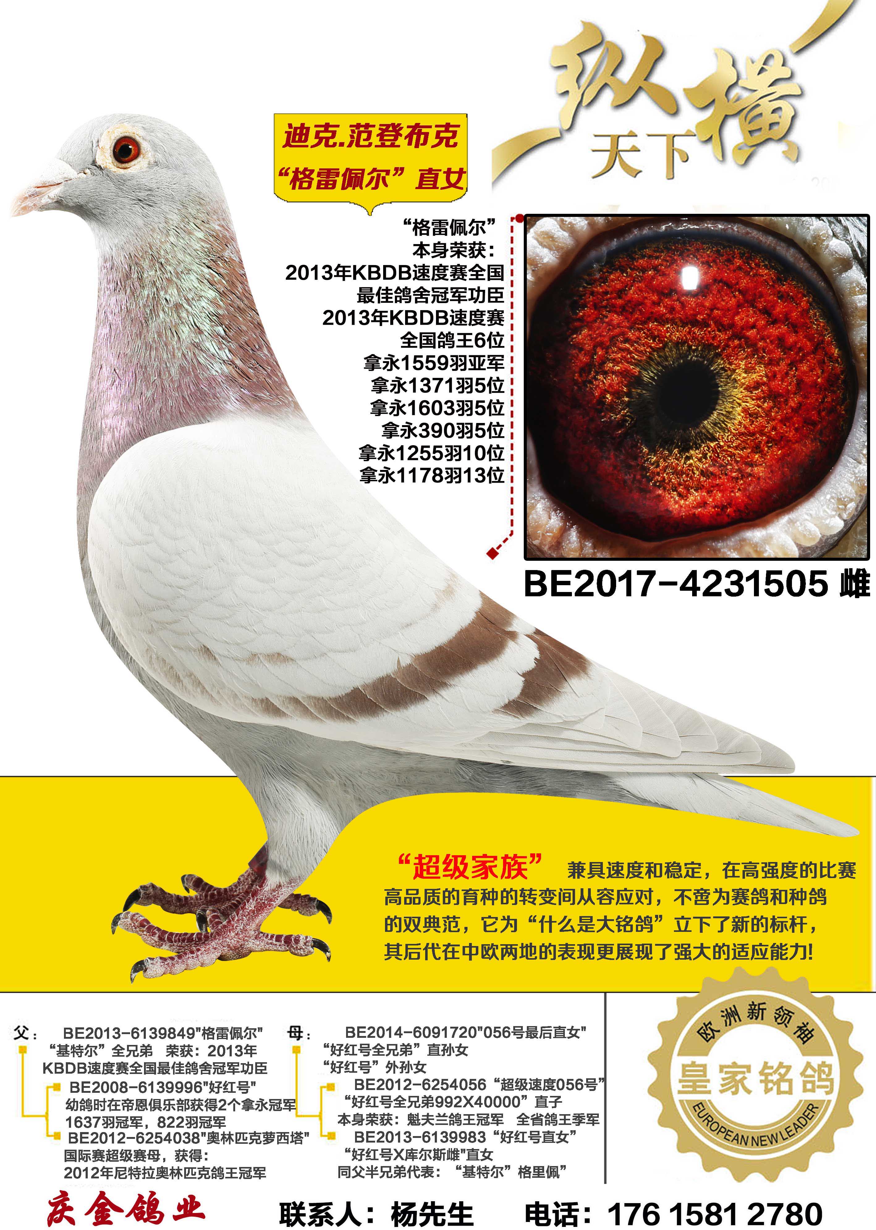 �Ͽ�.���ǲ��� ������ ֱŮ