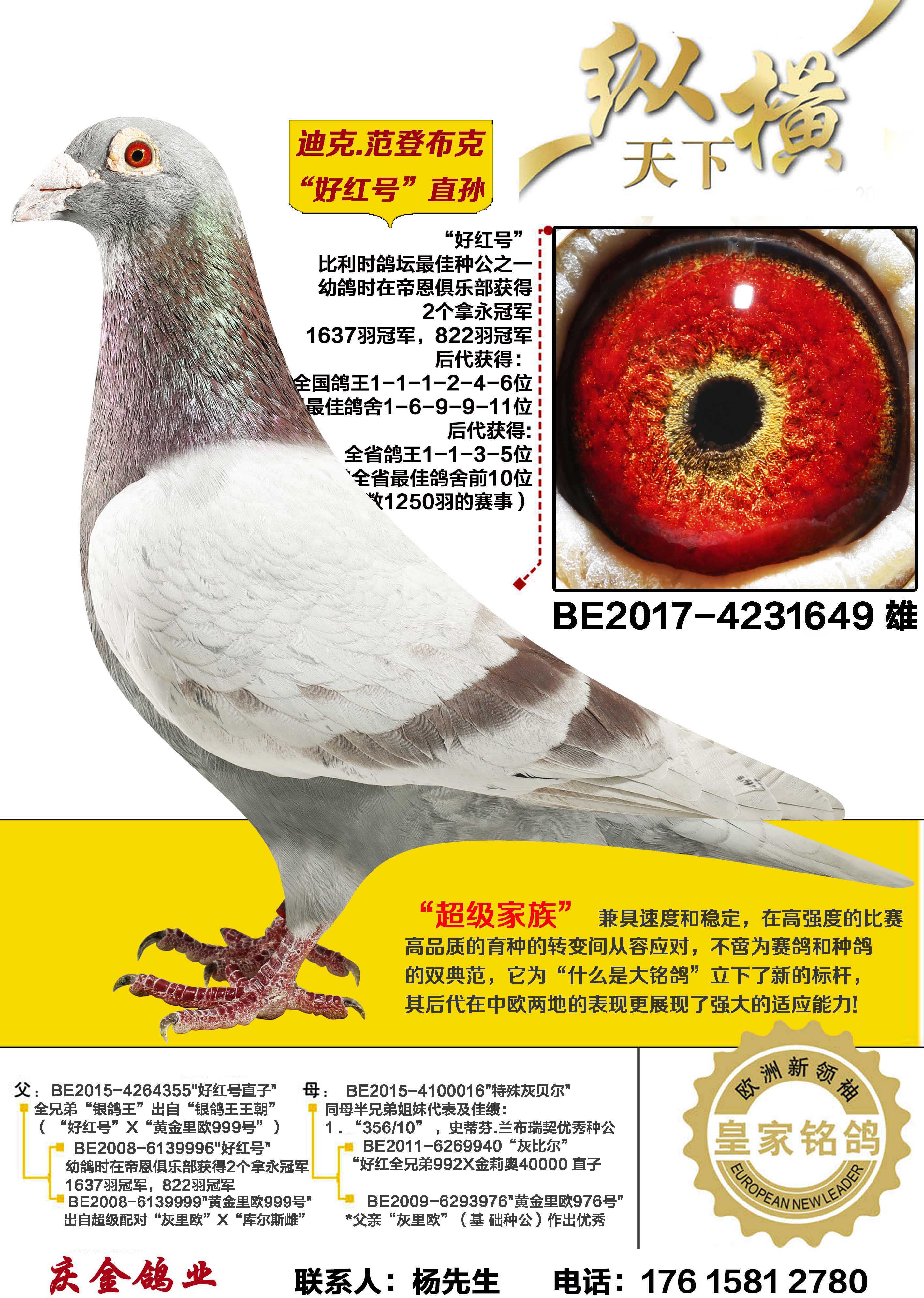 �Ͽ�.���ǲ��� �ú��ֱ��