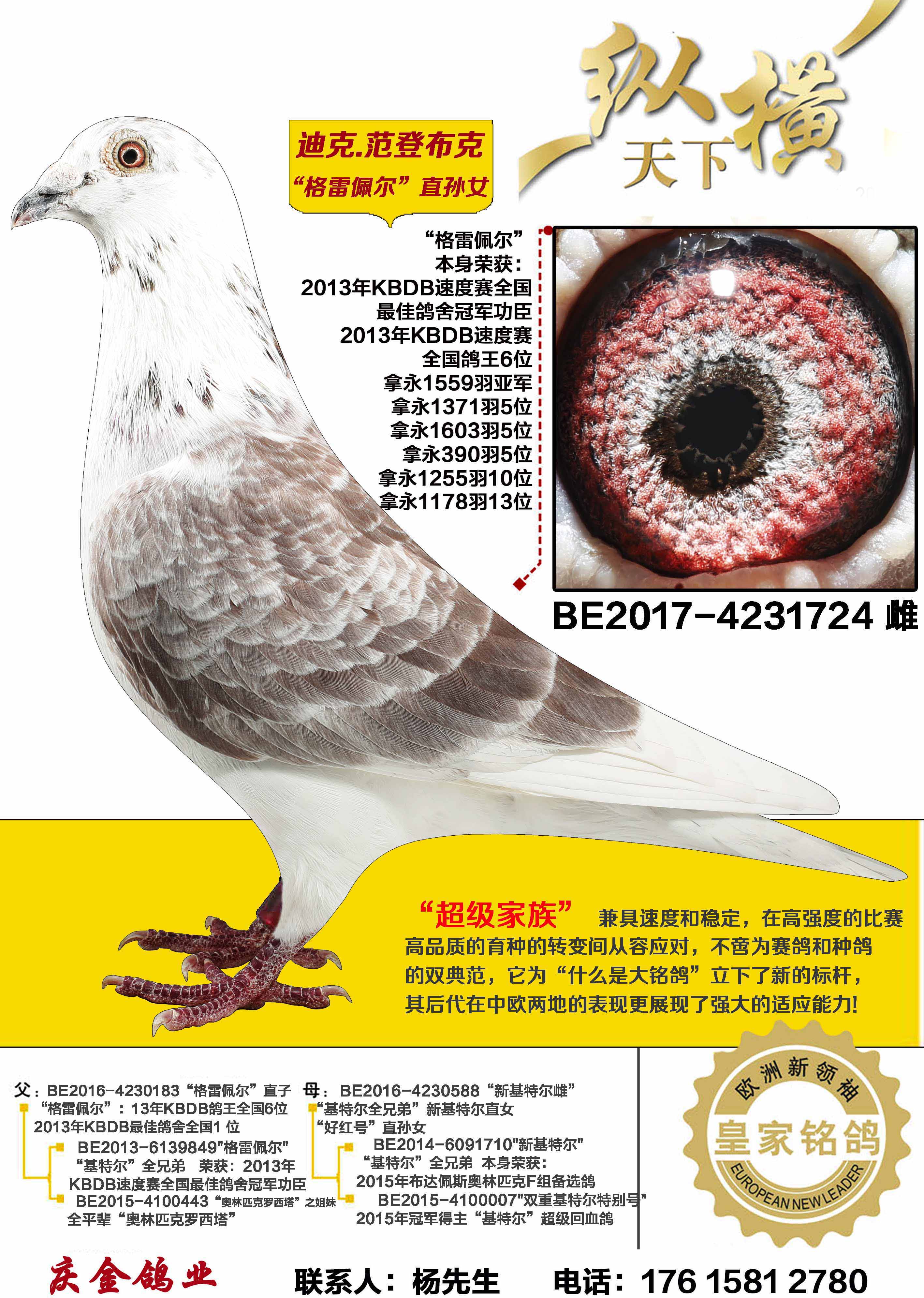 �Ͽ�.���ǲ��� ������ ֱ��Ů