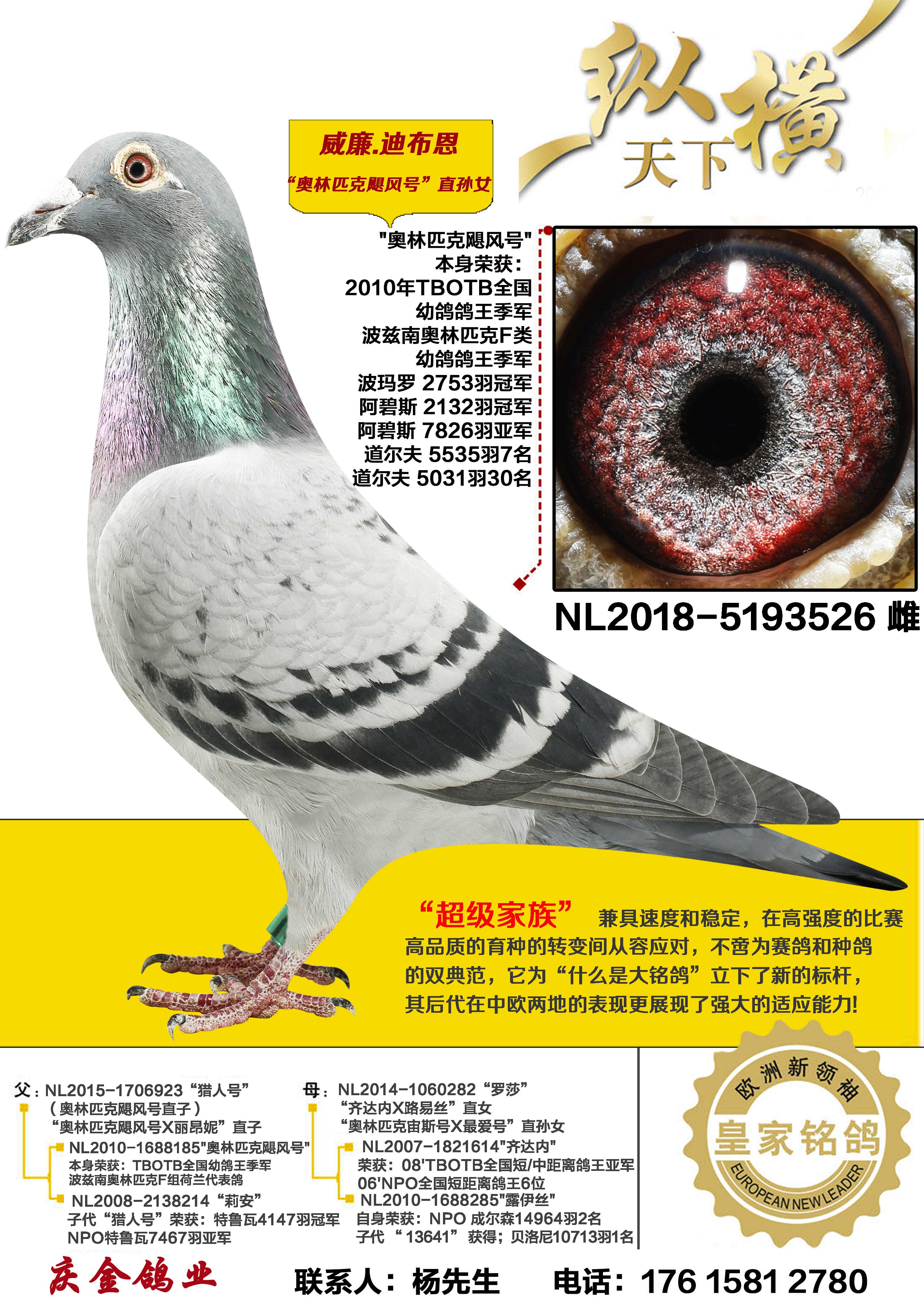 �����ϲ��� ����ƥ��쫷�� ֱ��Ů