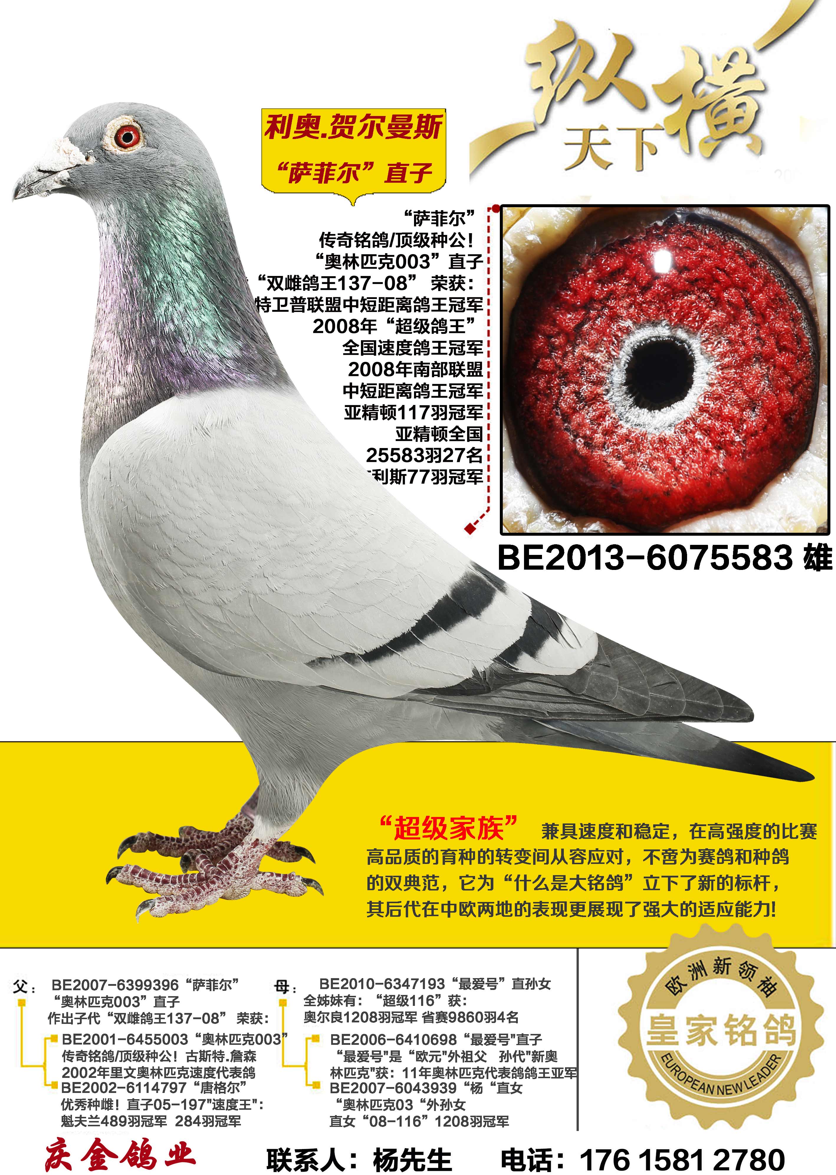 ����.�ض���˹ ���ƶ�ֱ��