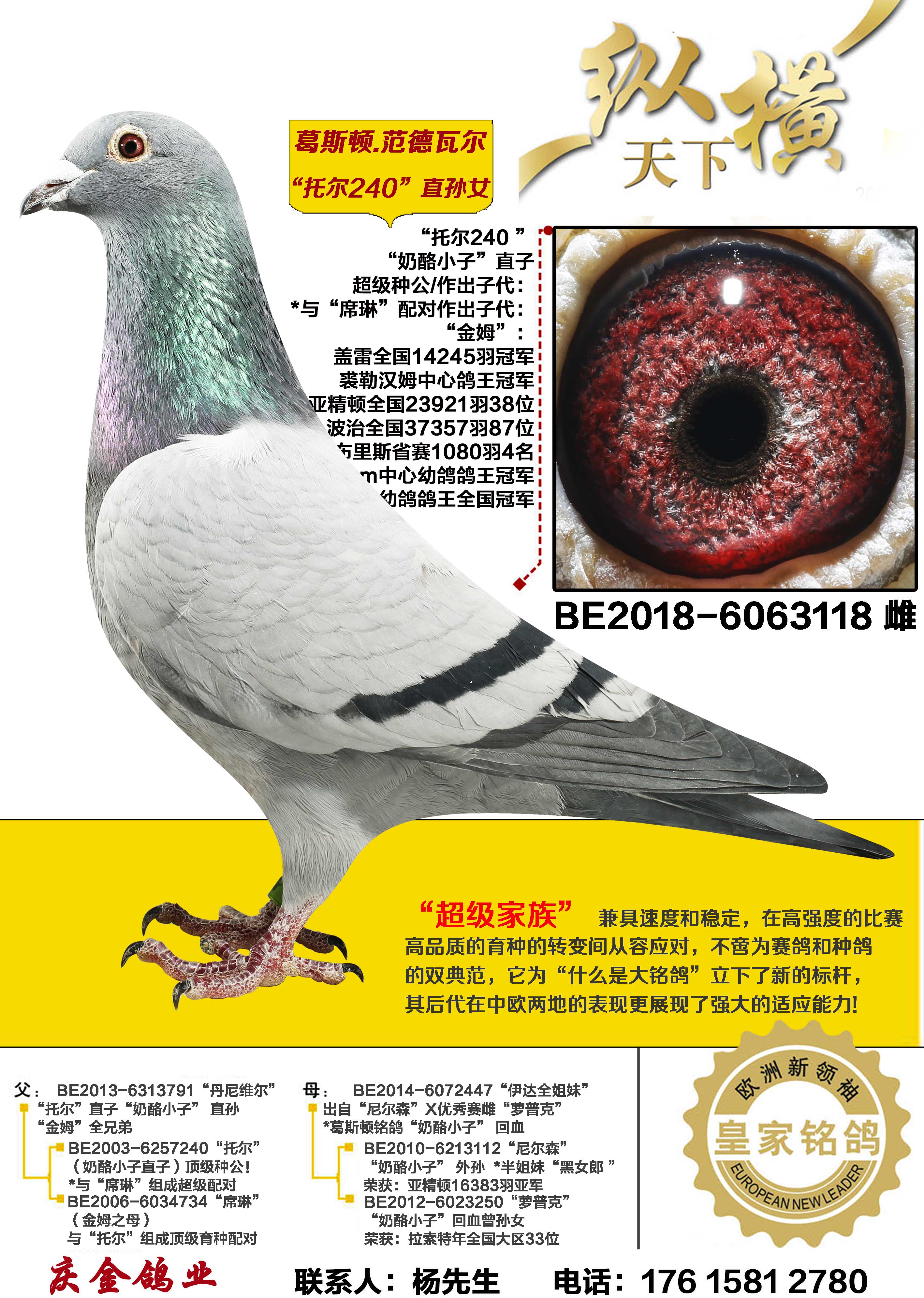 ��˹��.�����߶� �ж�240ֱ��Ů