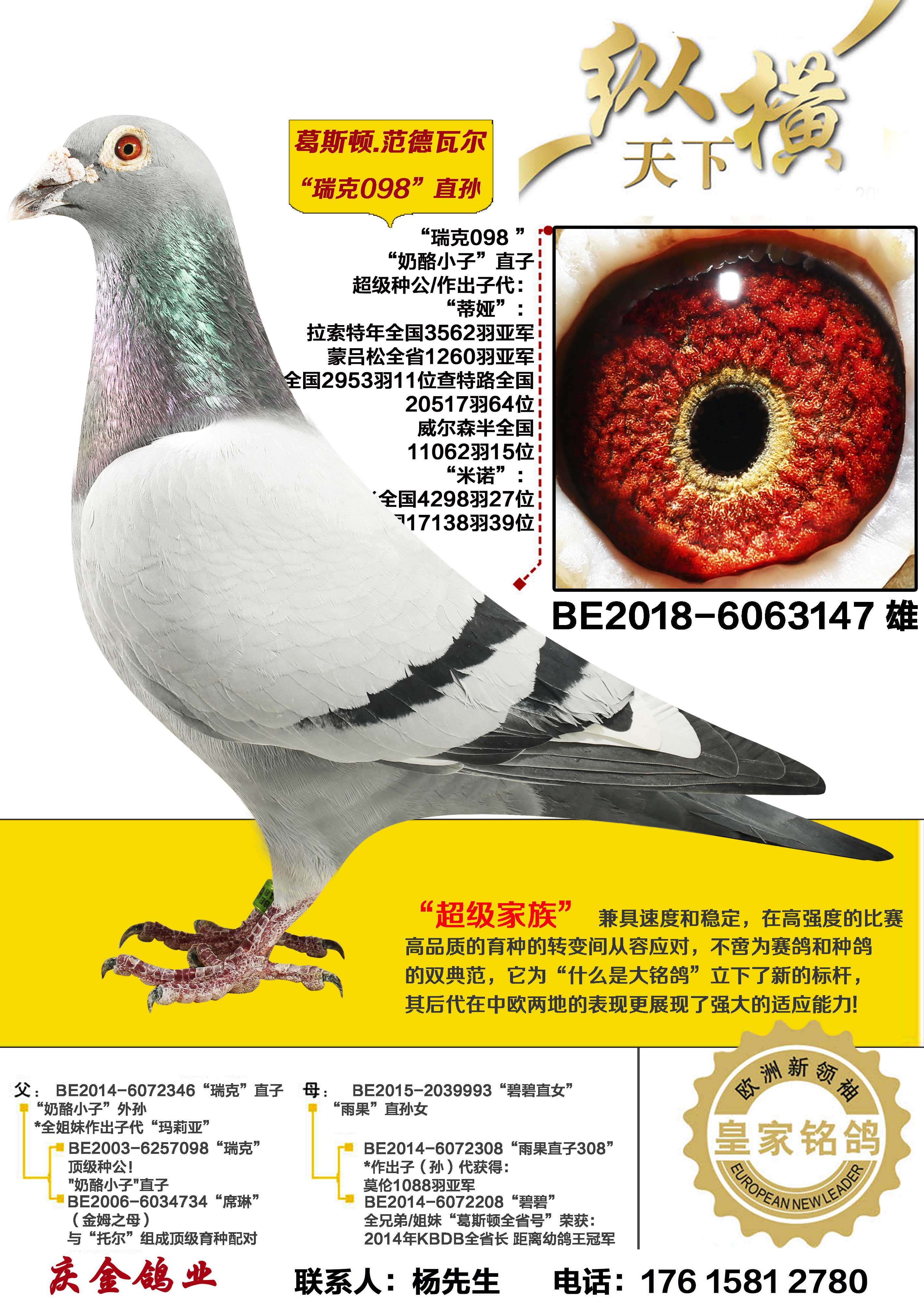 ��˹��.�����߶� ���098 ֱ��