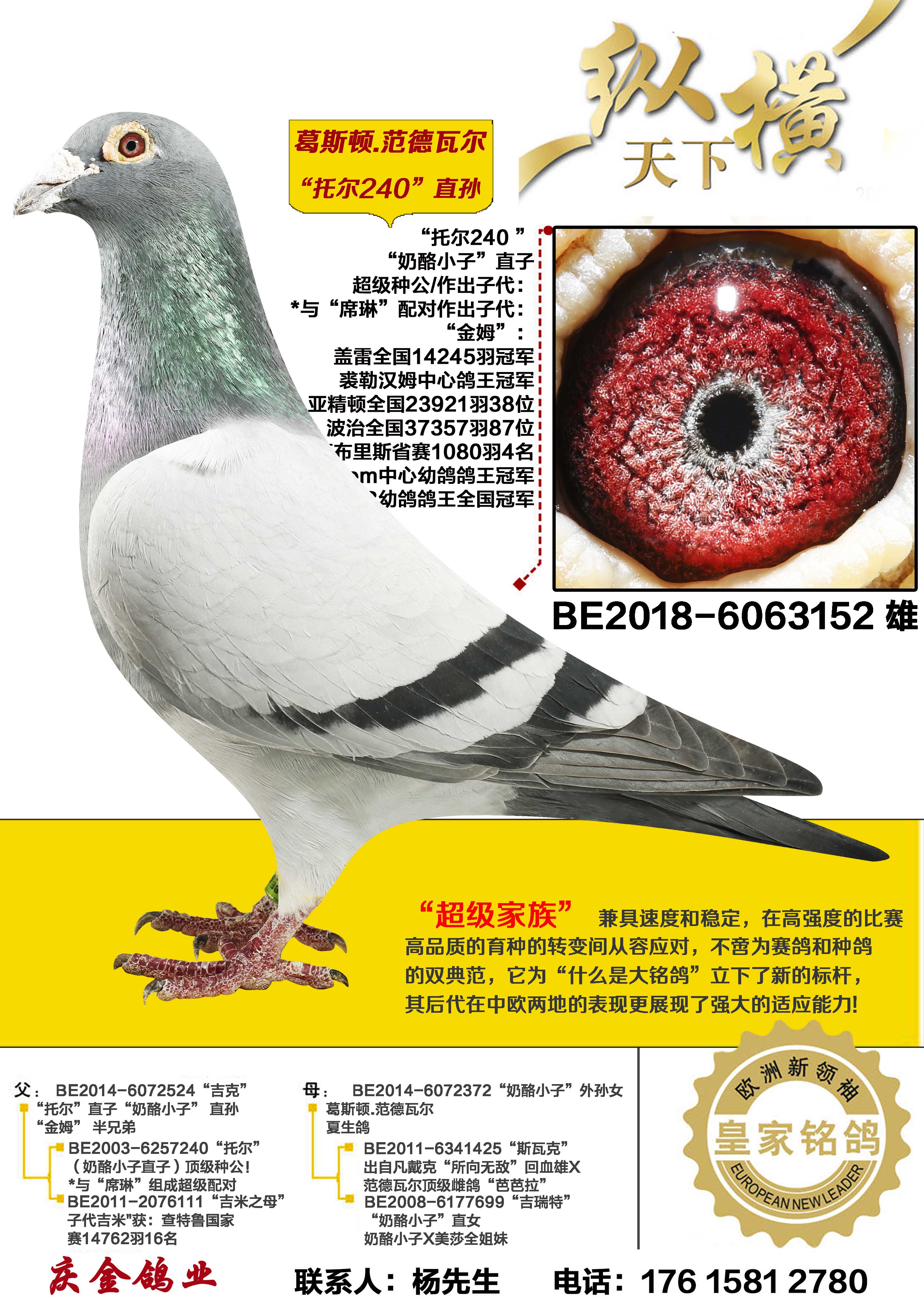 ��˹��.�����߶� �ж�240 ֱ��