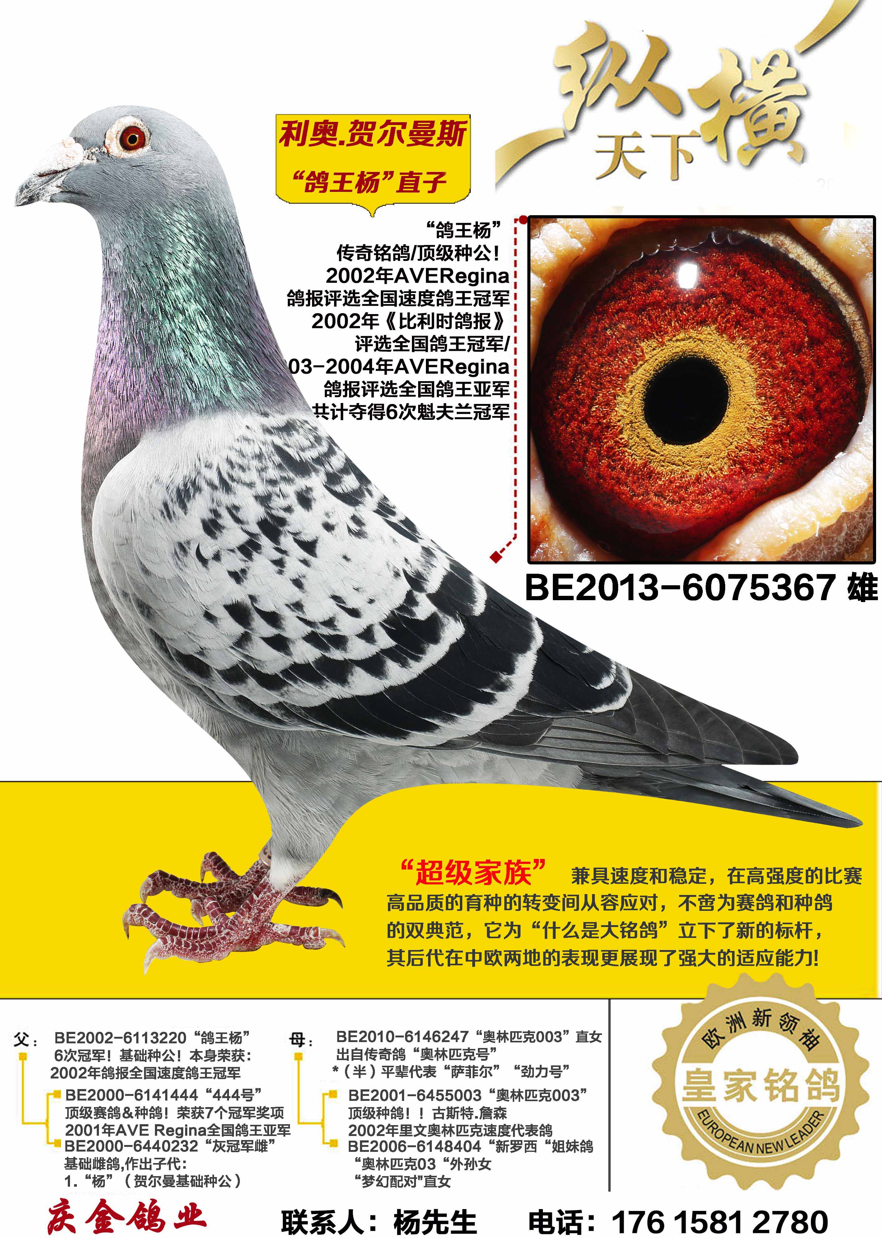 ����.�ض���˹ ������ֱ��