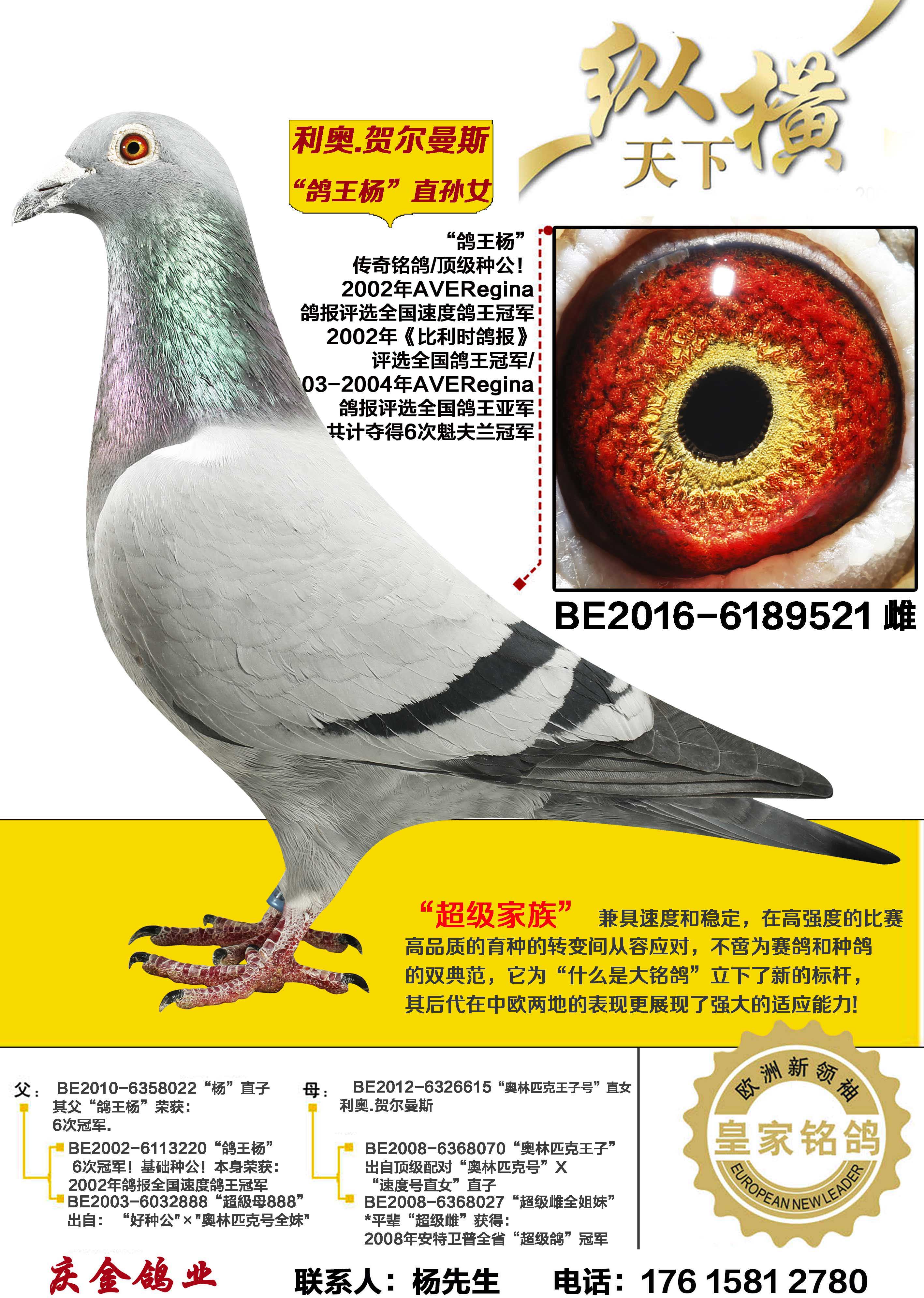 ����.�ض���˹ ������ֱ��Ů