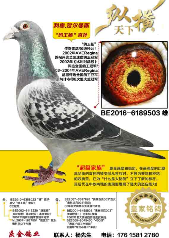 ����.�ض���˹ ������ֱ��