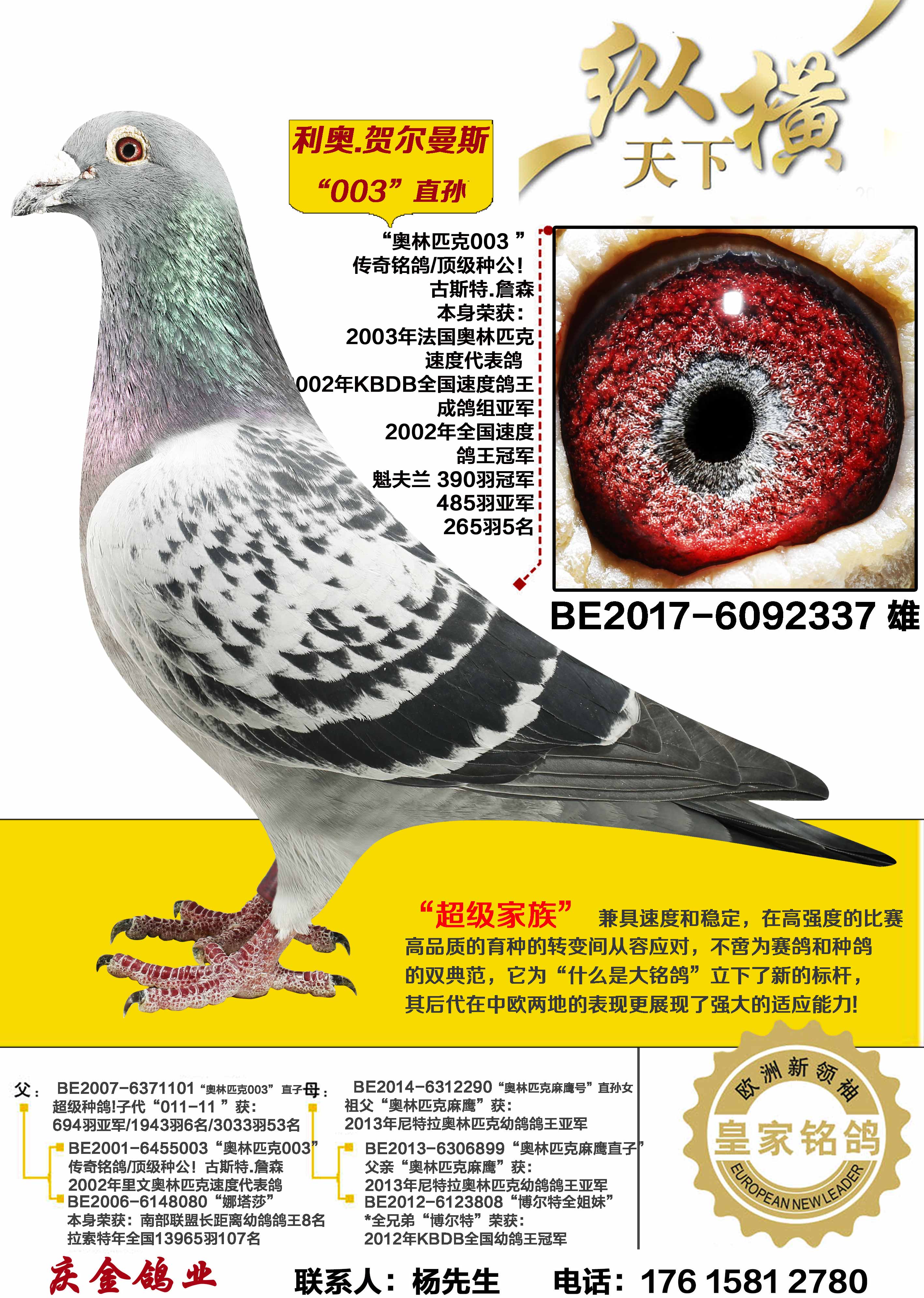 ����.�ض���˹ 003ֱ��