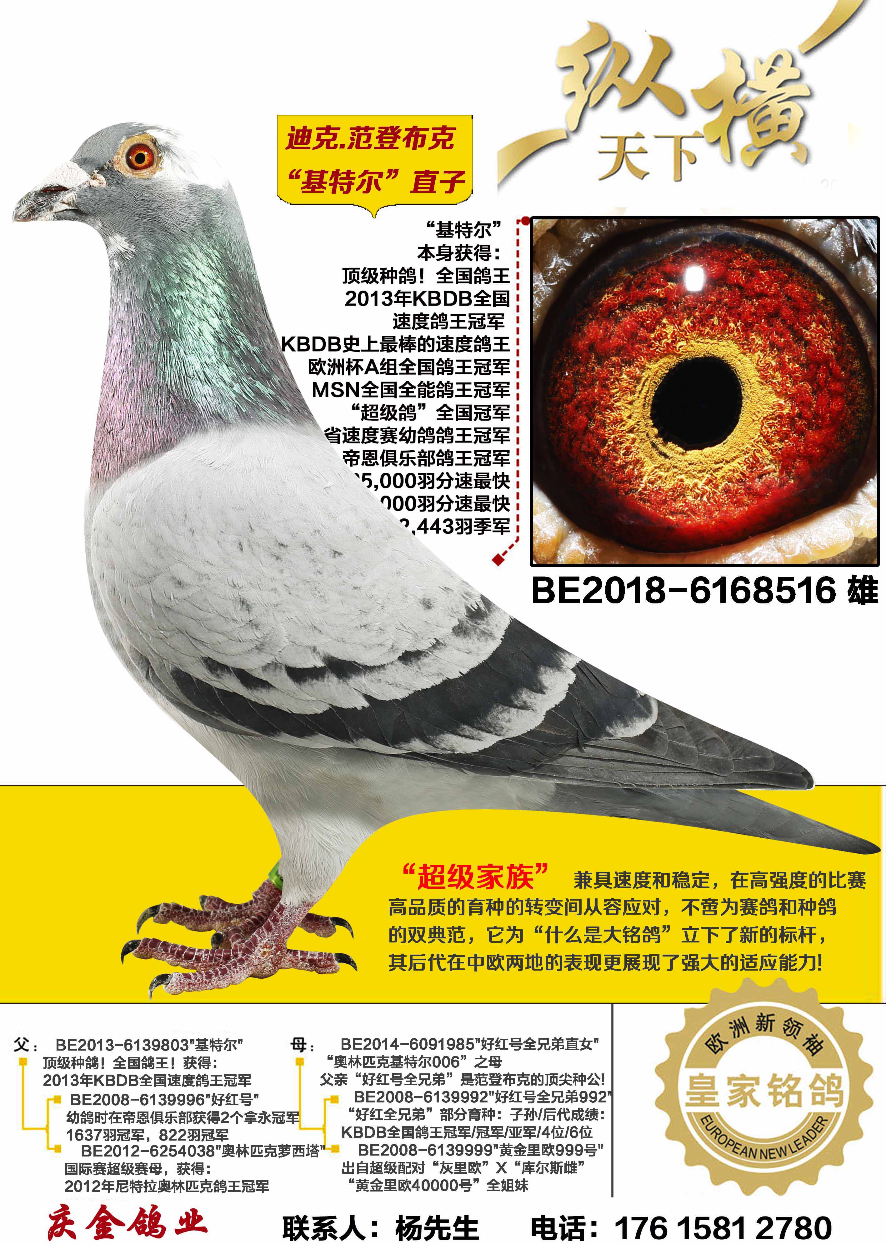 �Ͽ�.���ǲ��� ���ض�ֱ��