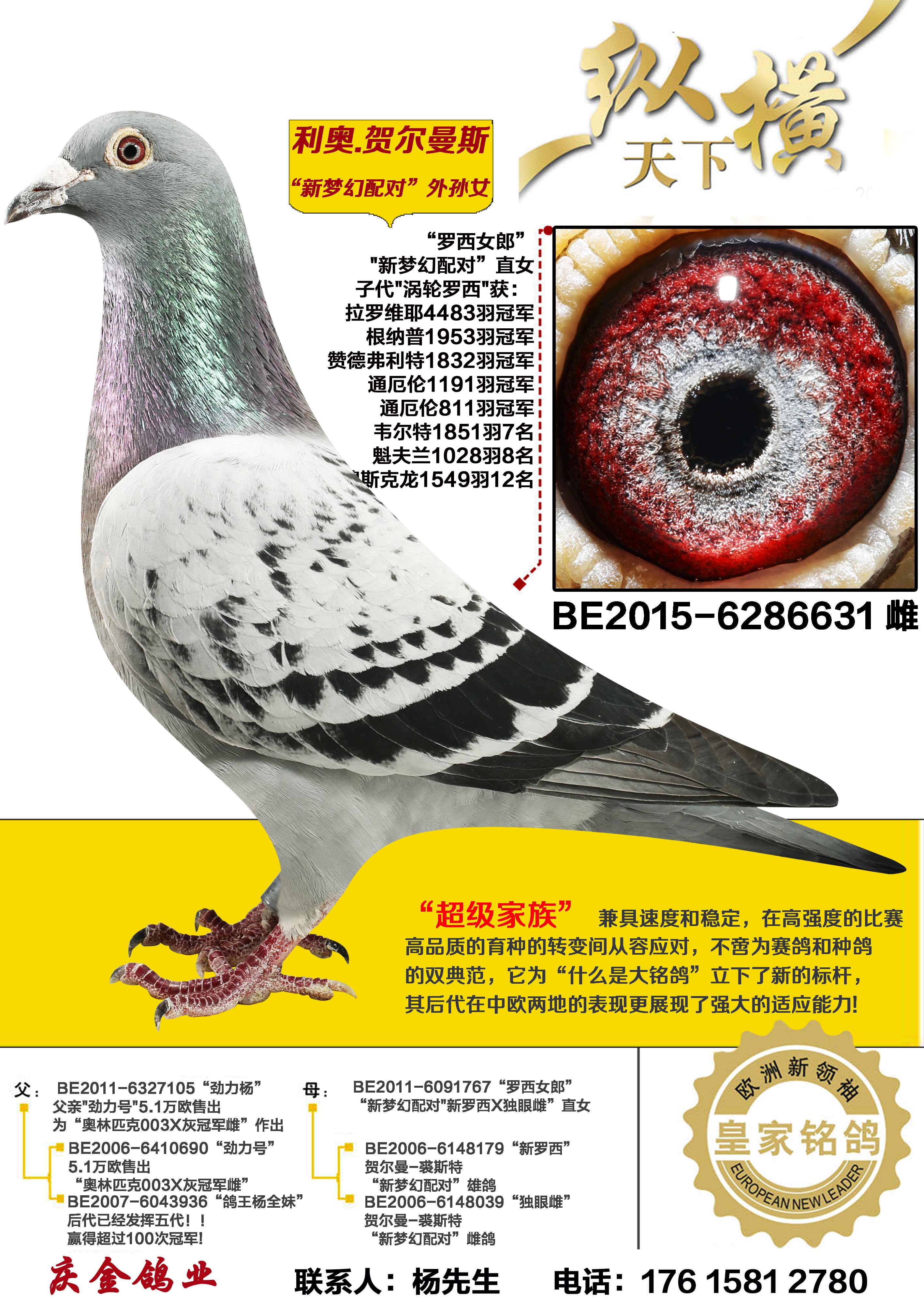 ����.�ض���˹ �λ���� ����Ů