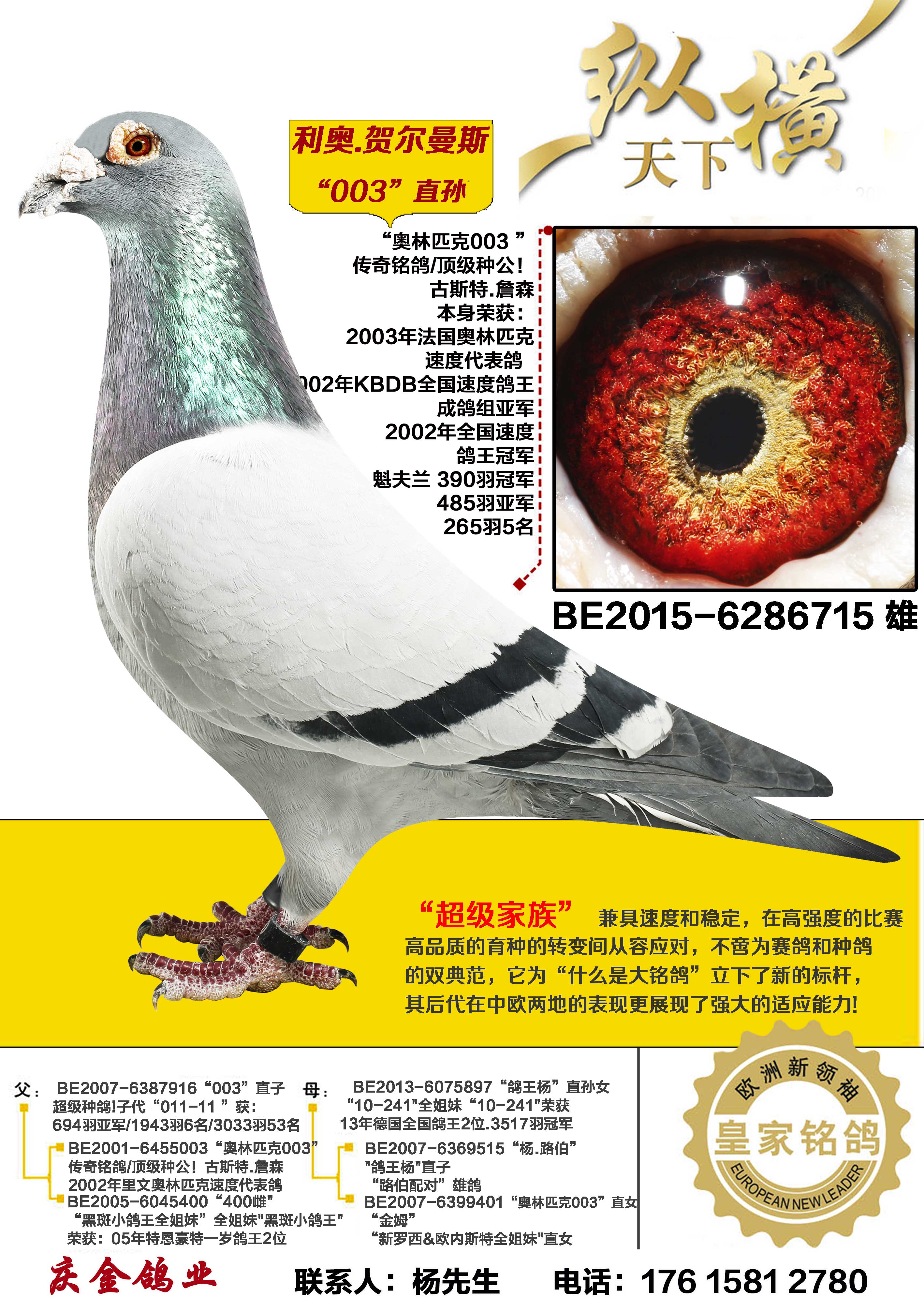 ����.�ض���˹ 003ֱ��