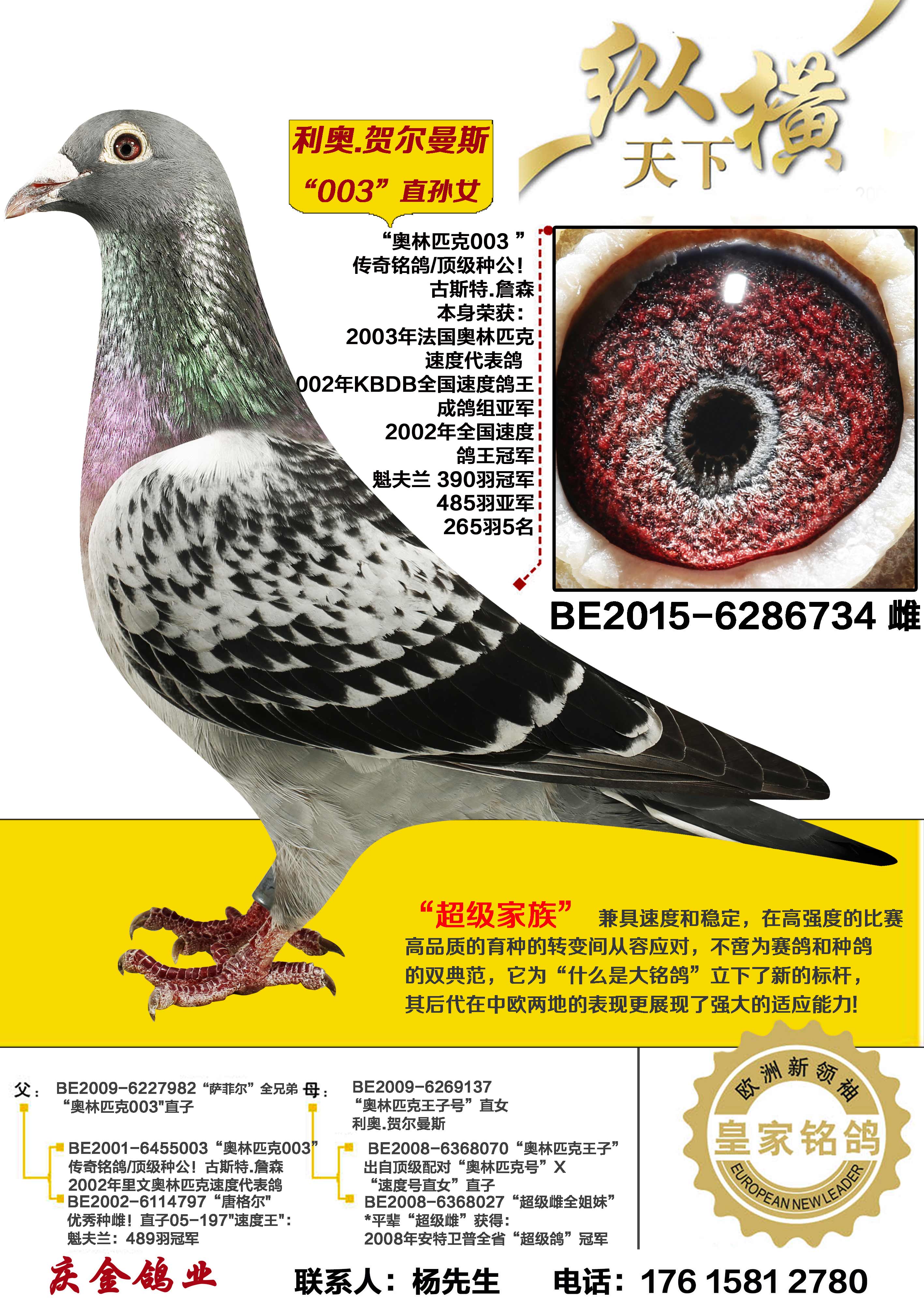 ����.�ض���˹ 003ֱ��Ů