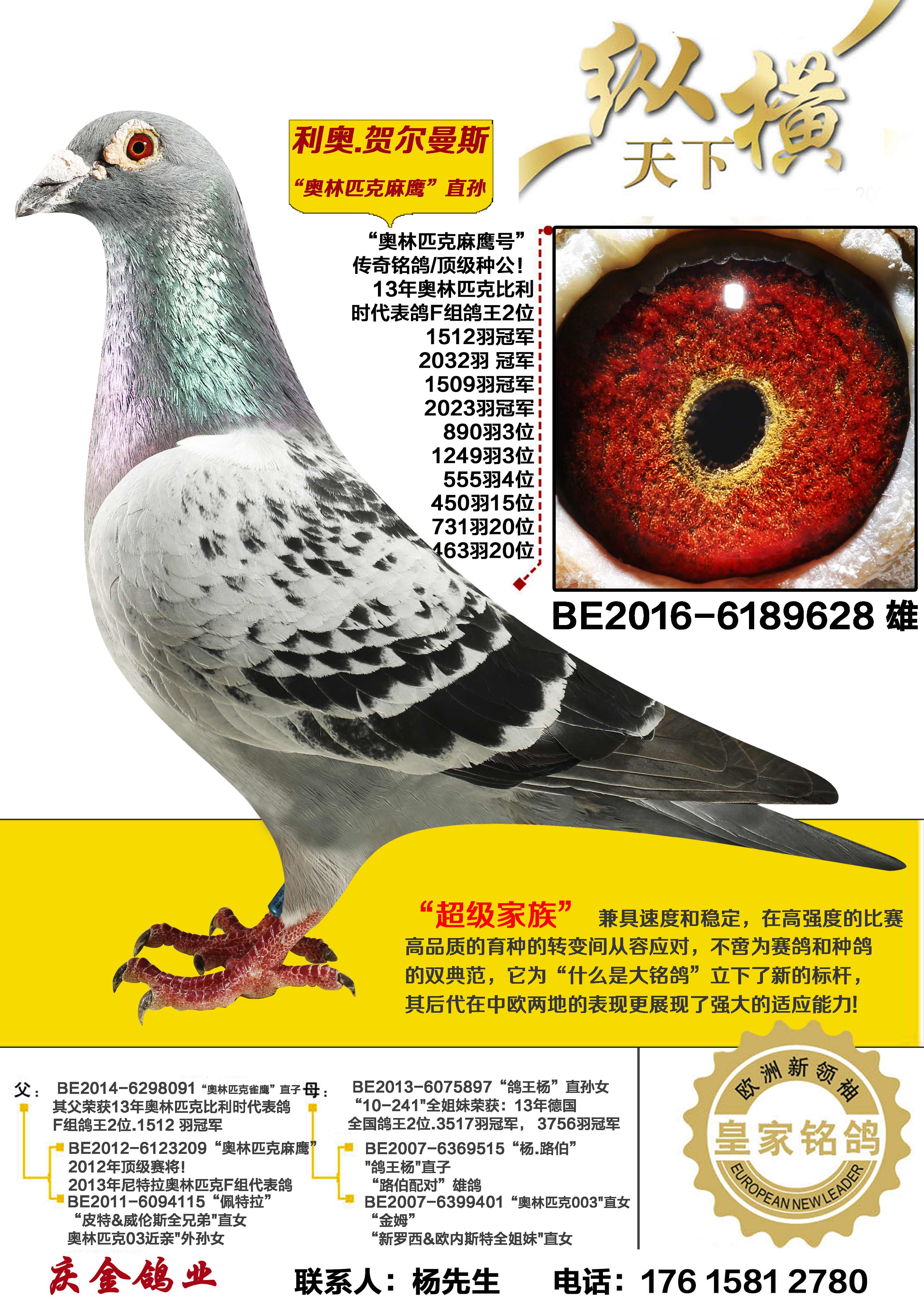 ����ƥ����ӥ ֱ��