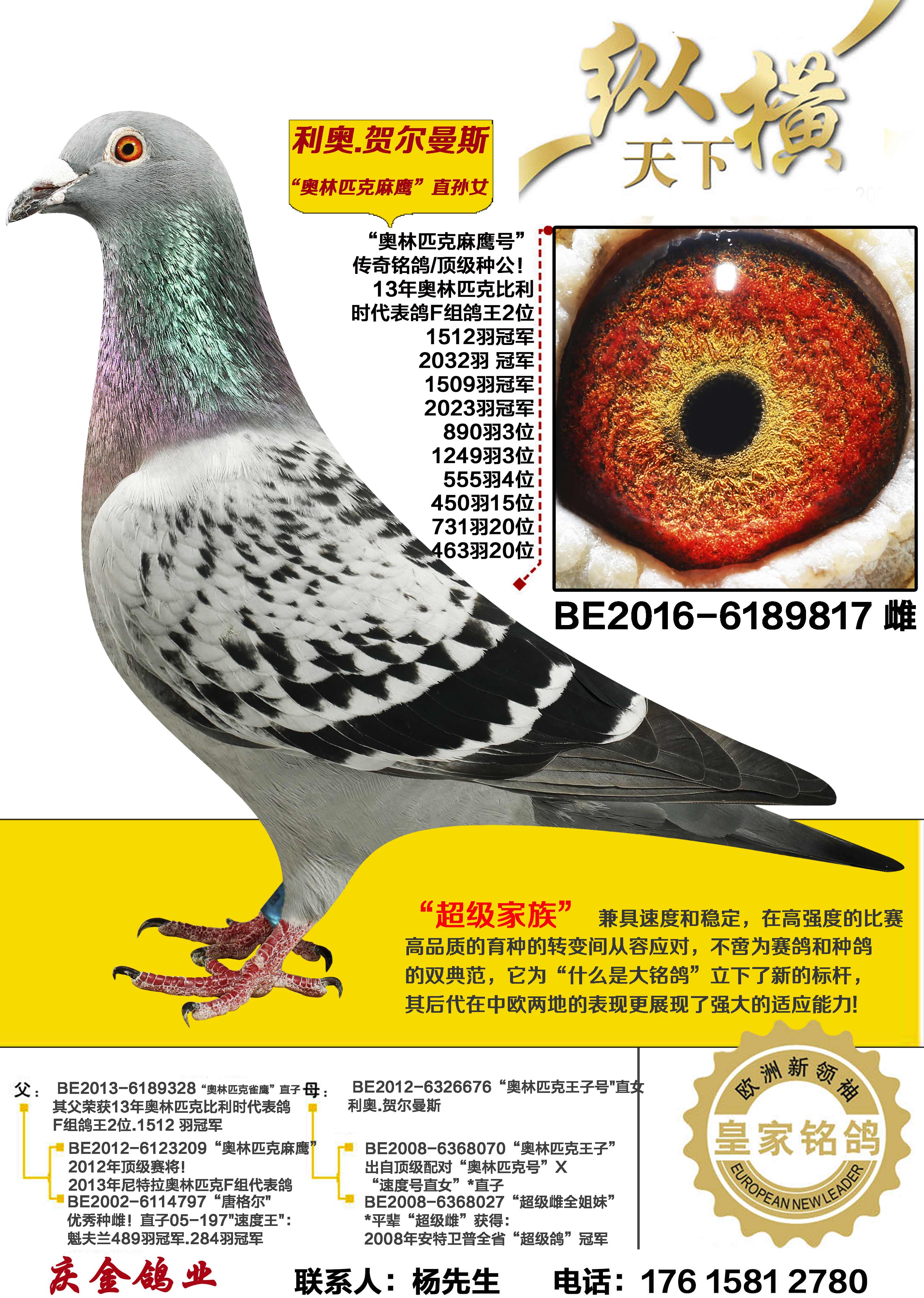 ����ƥ����ӥ ֱ��Ů