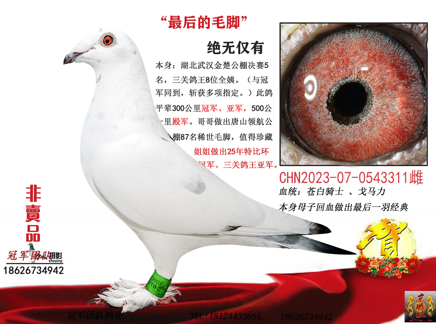 ����ë��