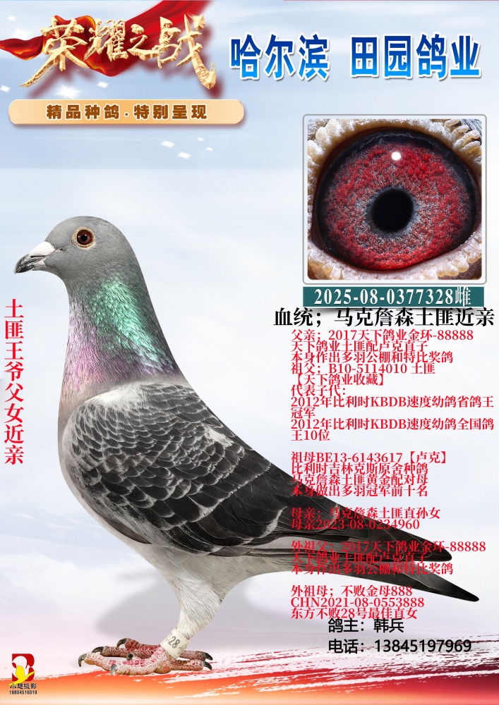 ������ү����ֱŮ