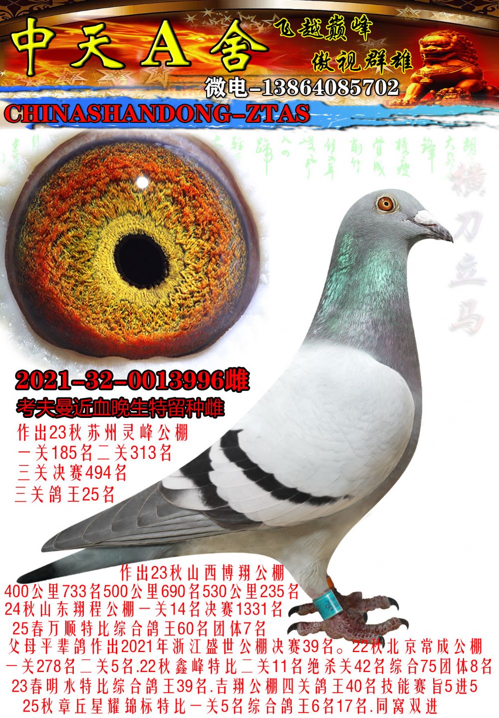 ����������֮ĸ