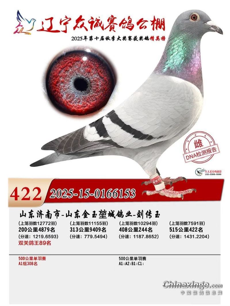 �����ڳǹ���