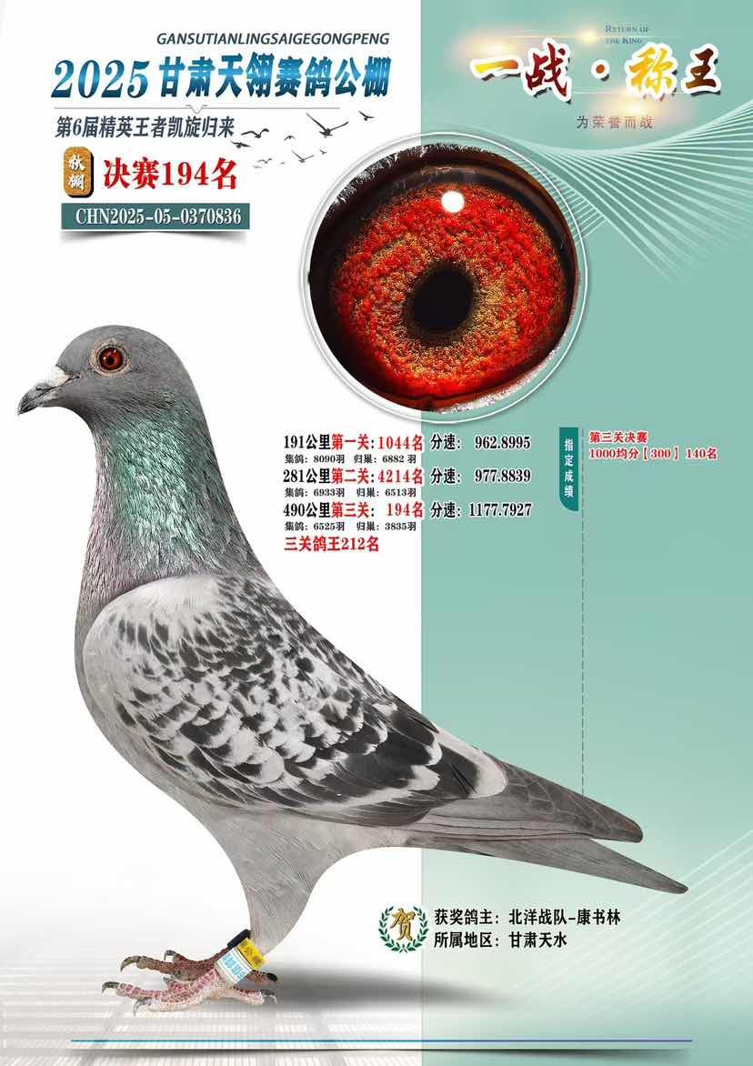 25���������194��